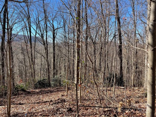 9999-1 Nesbitt Chapel Road, Fairview, NC, 28730