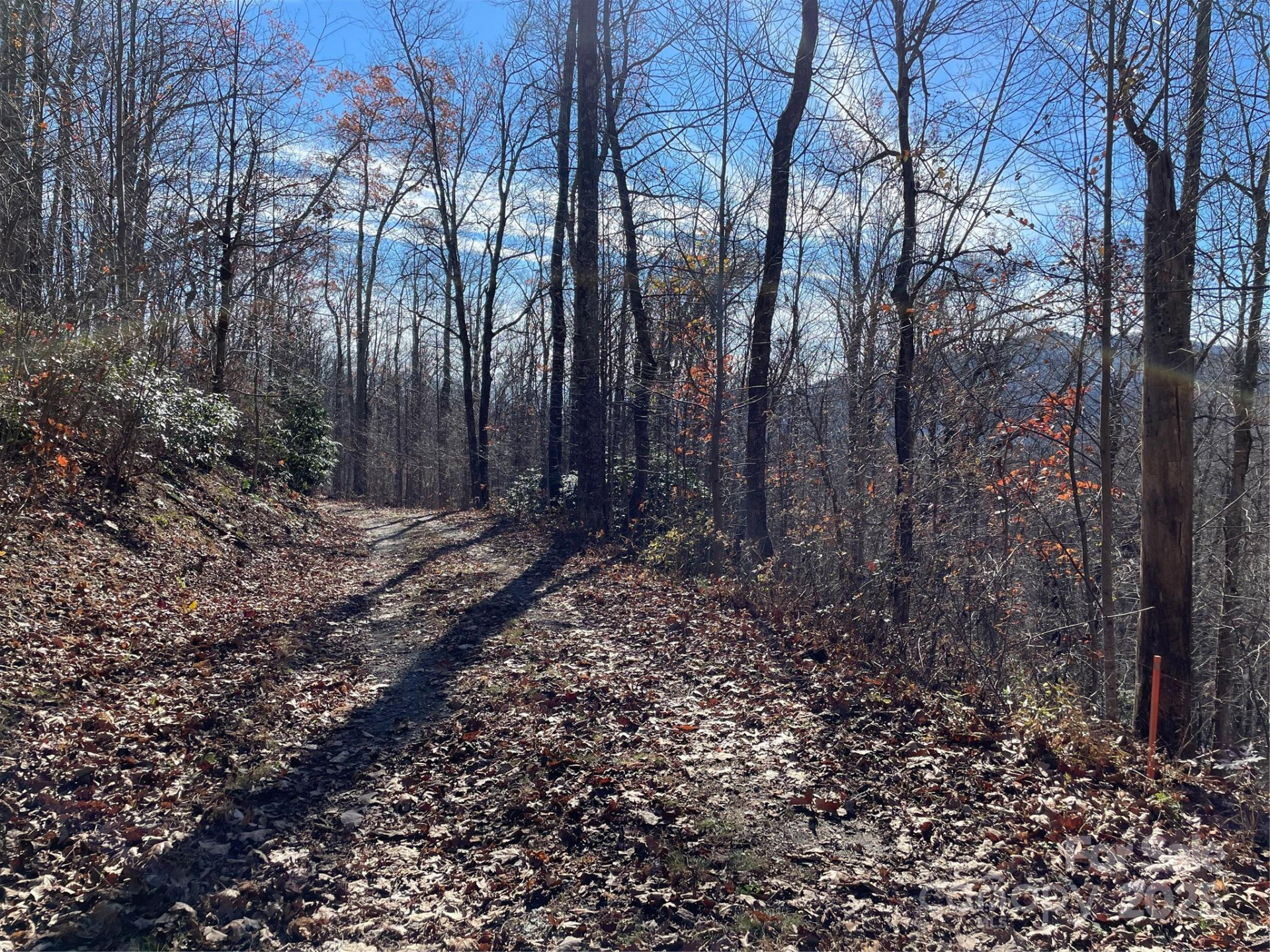 9999-1 Nesbitt Chapel Road - Photo 11