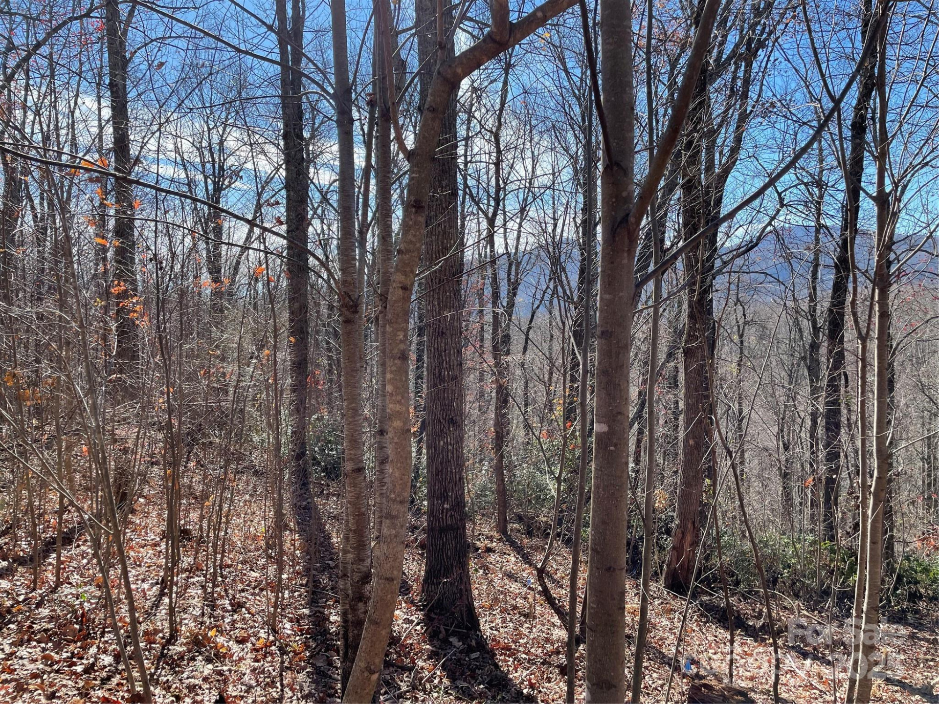 9999-1 Nesbitt Chapel Road - Photo 12