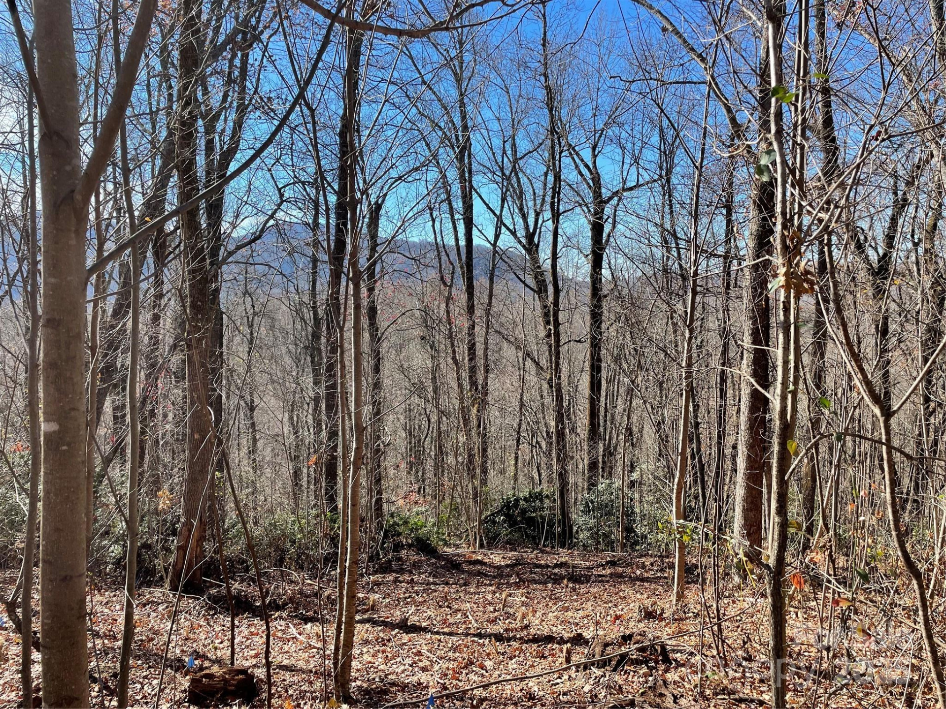 9999-1 Nesbitt Chapel Road - Photo 13