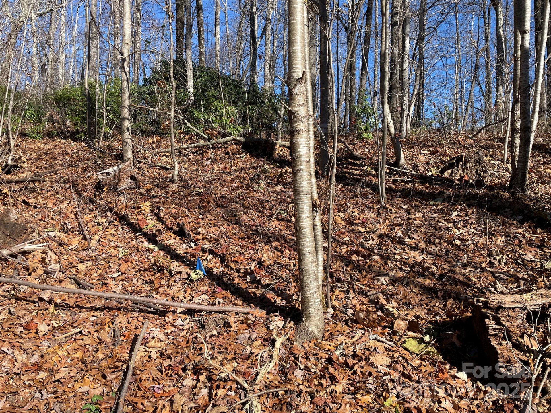 9999-1 Nesbitt Chapel Road - Photo 14