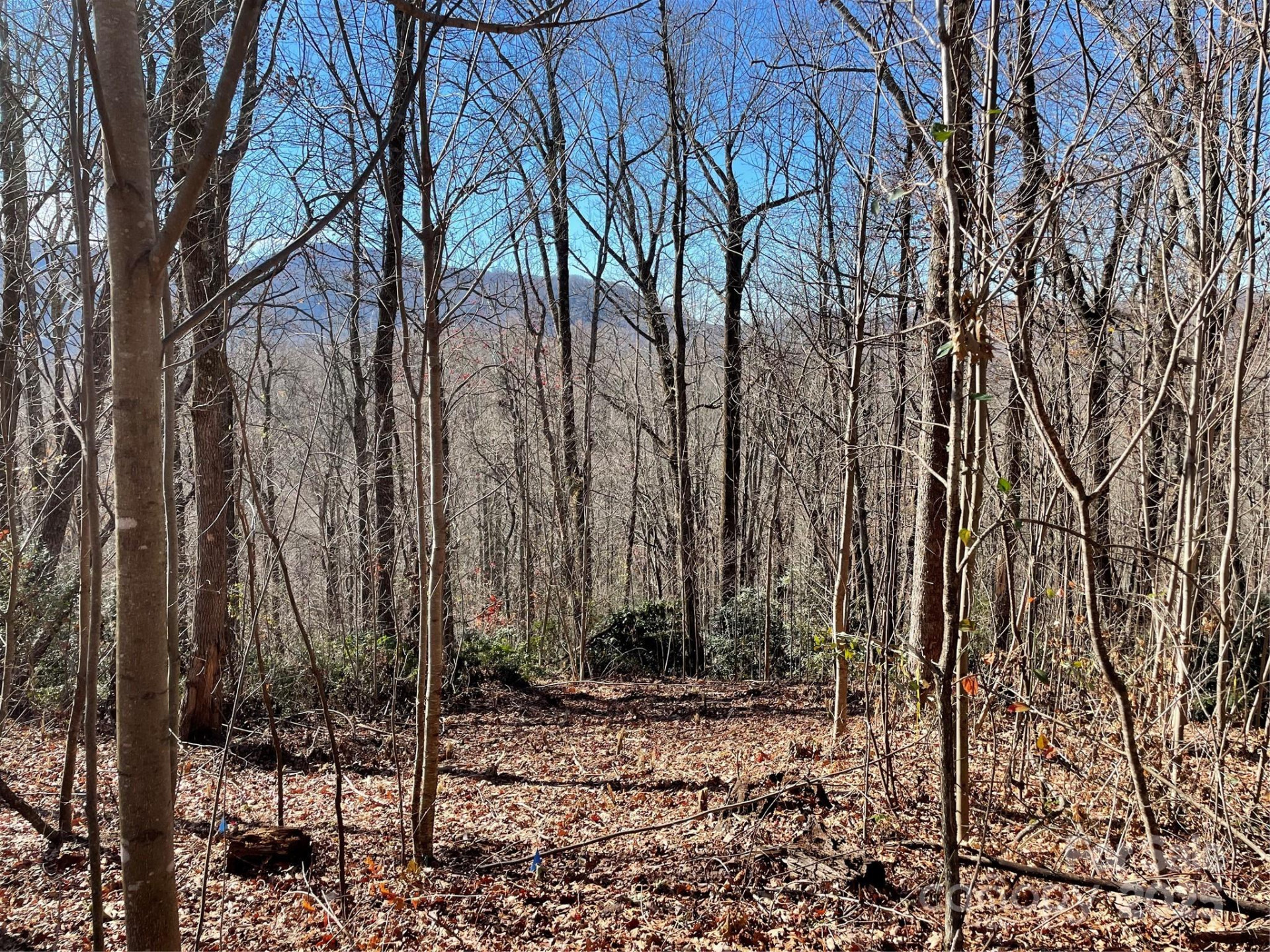 9999-1 Nesbitt Chapel Road - Photo 15