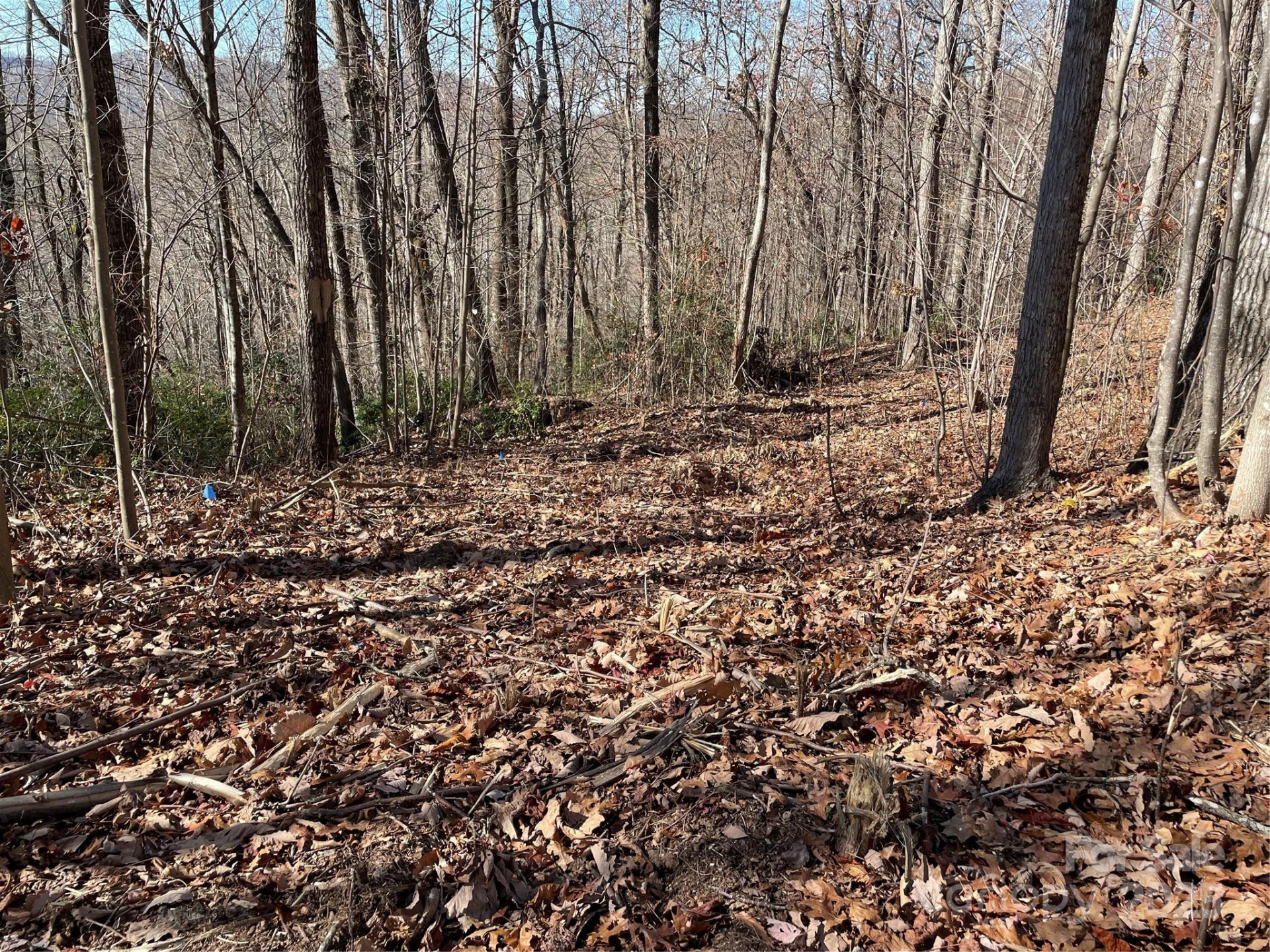 9999-1 Nesbitt Chapel Road - Photo 16