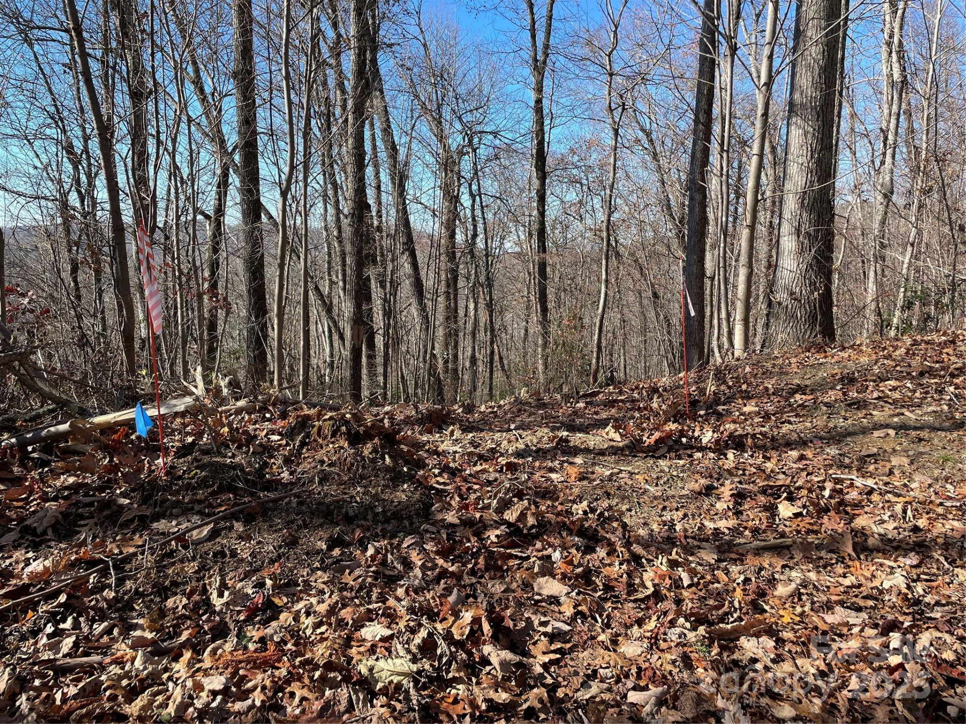 9999-1 Nesbitt Chapel Road - Photo 17