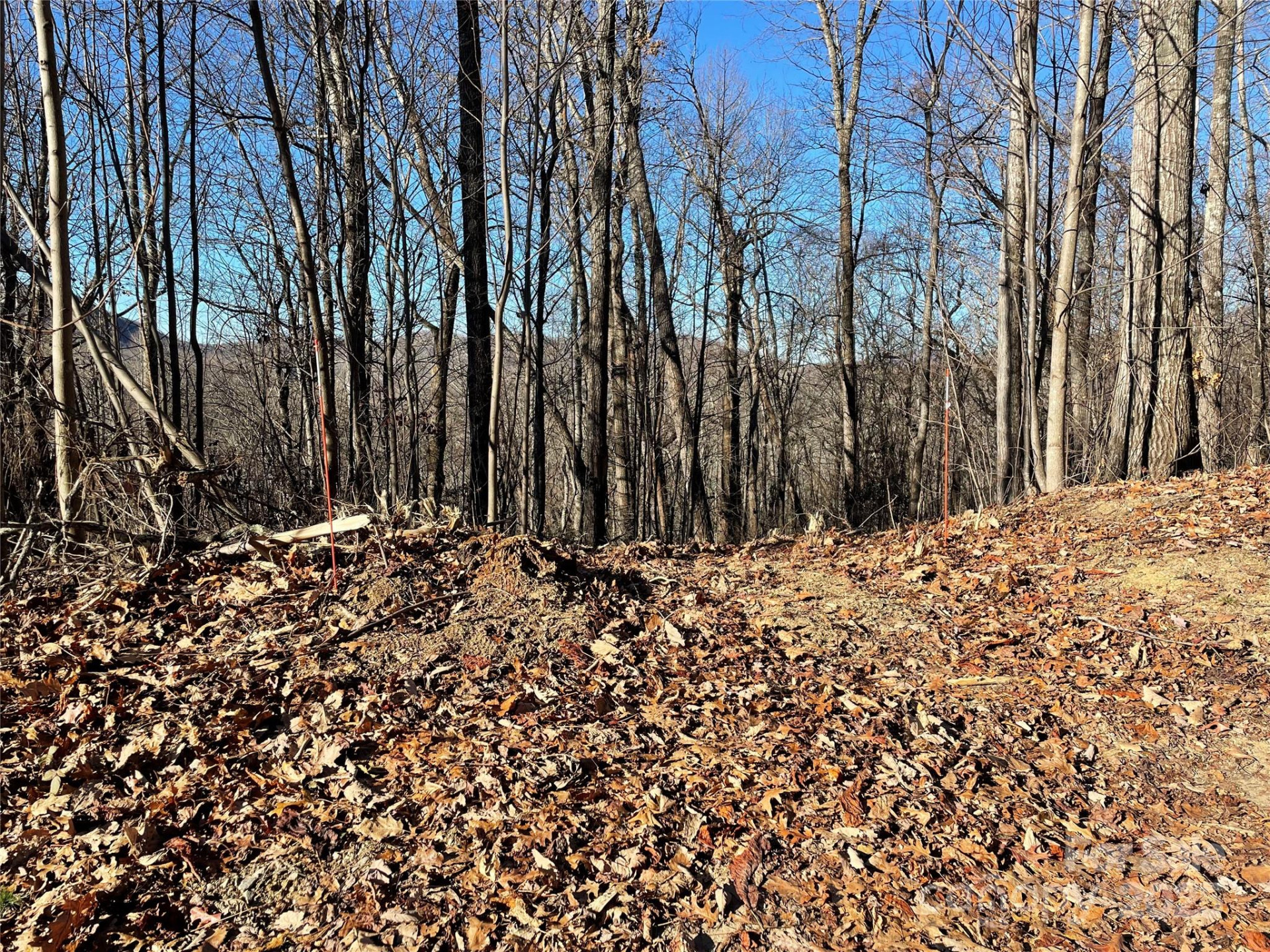 9999-1 Nesbitt Chapel Road - Photo 18