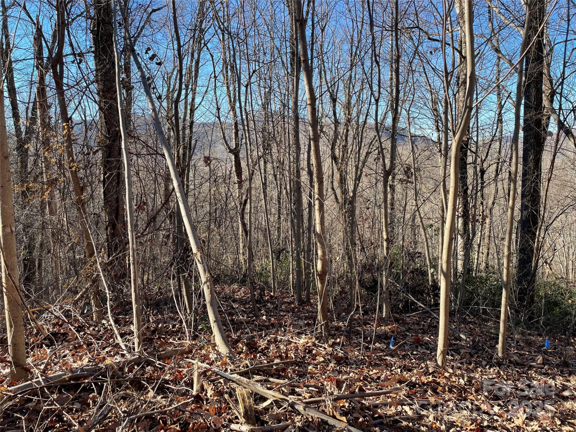 9999-1 Nesbitt Chapel Road - Photo 20