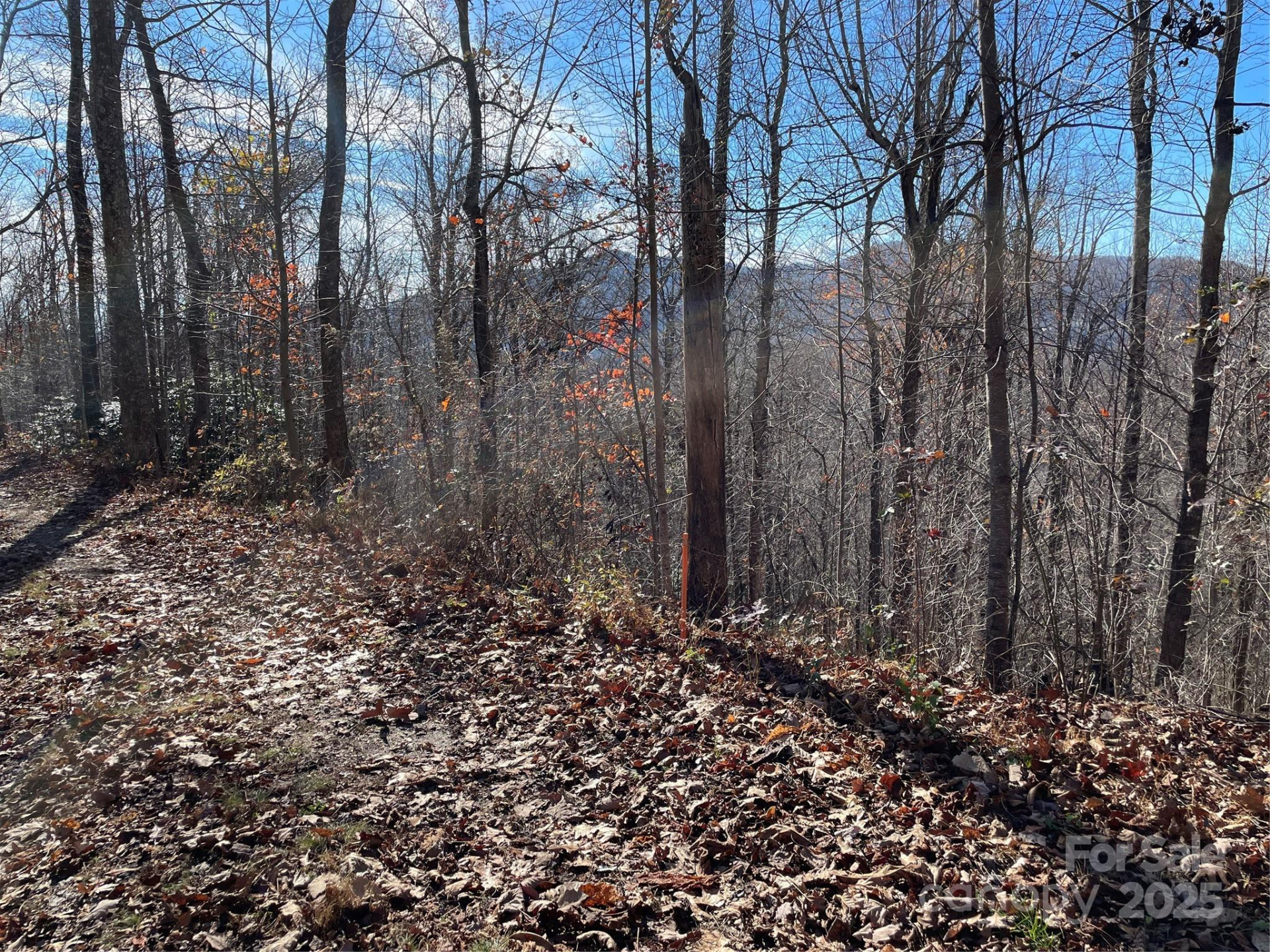 9999-1 Nesbitt Chapel Road - Photo 3