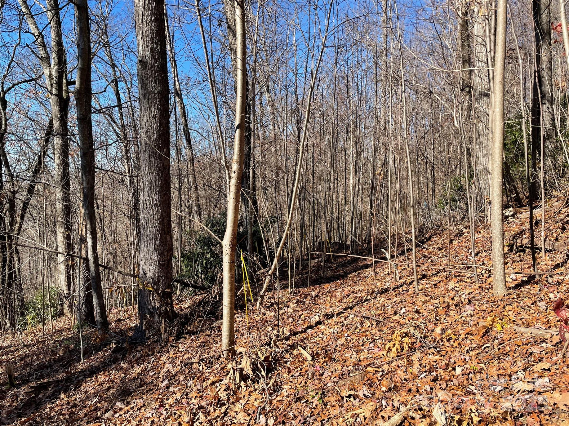 9999-1 Nesbitt Chapel Road - Photo 4