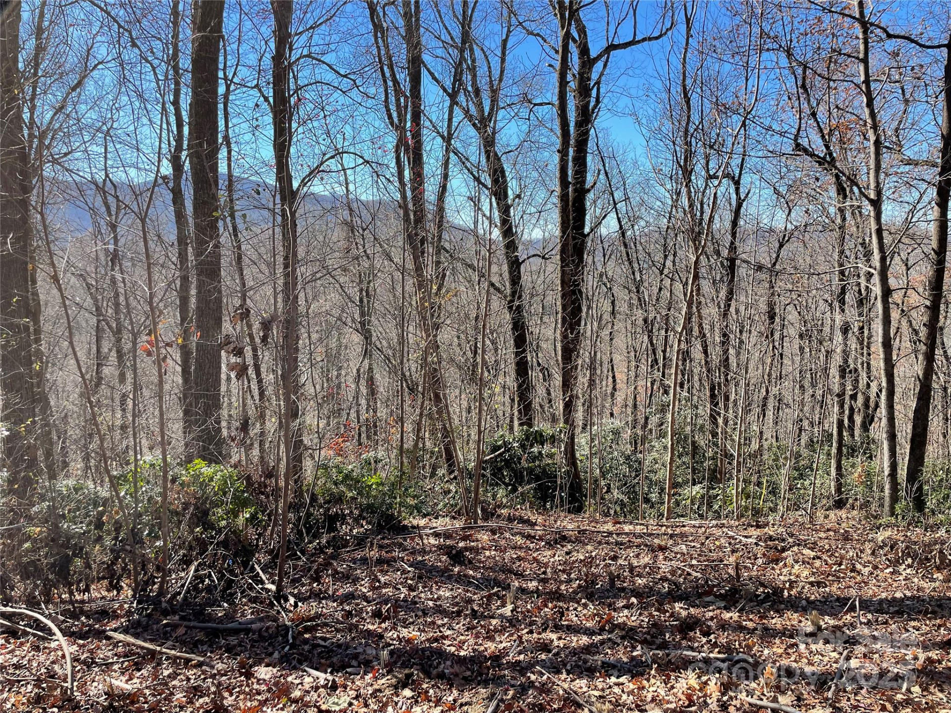 9999-1 Nesbitt Chapel Road - Photo 8