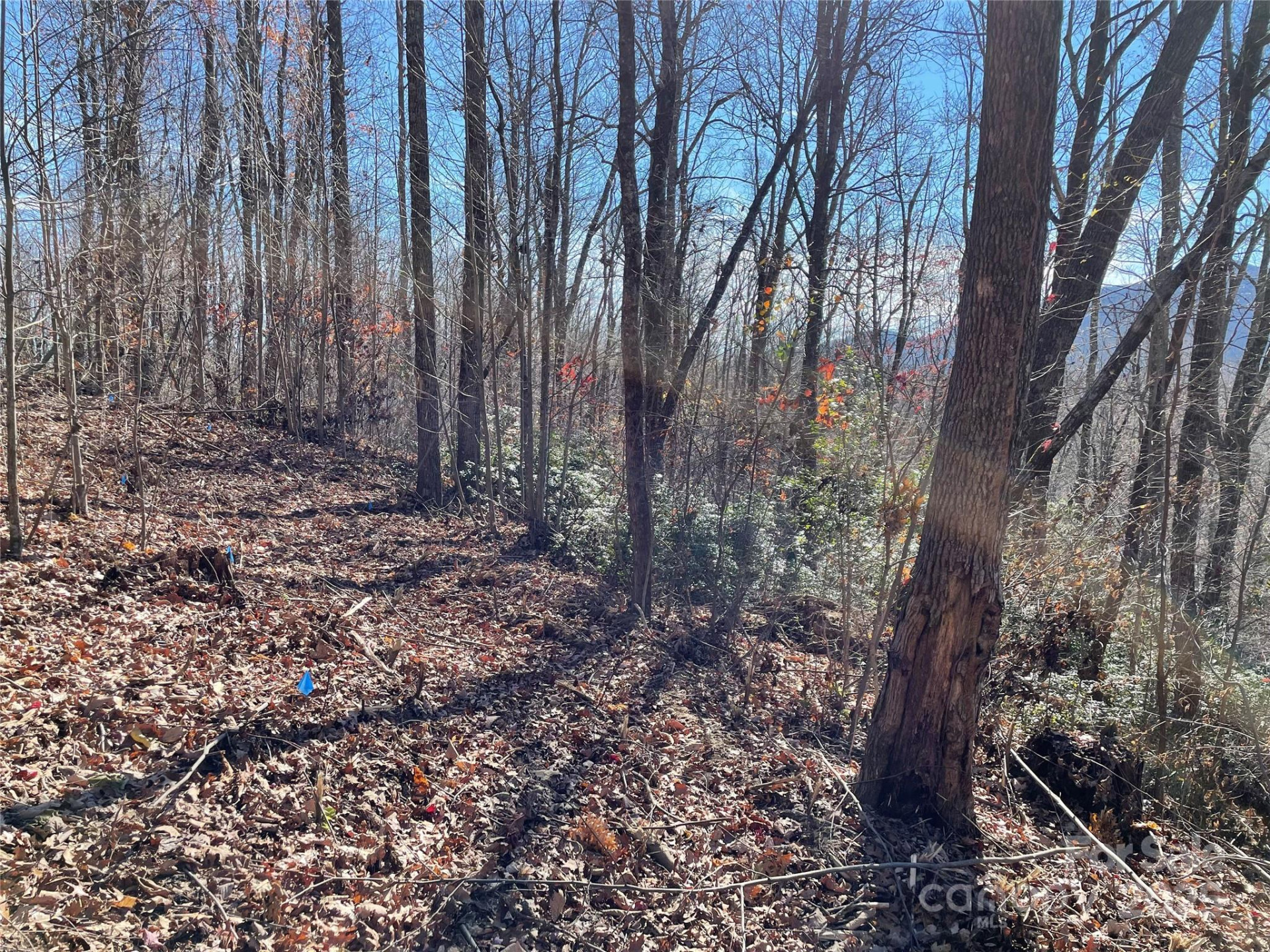 9999-1 Nesbitt Chapel Road - Photo 9