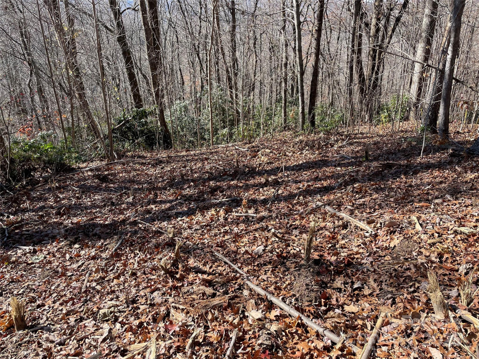 9999-1 Nesbitt Chapel Road - Photo 10