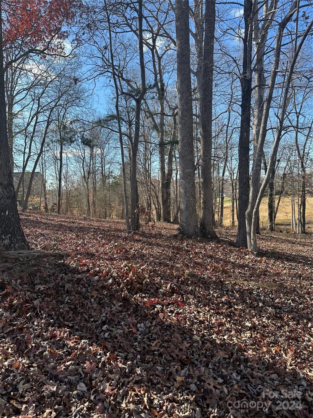 3712 Blankenship Drive - Photo 2