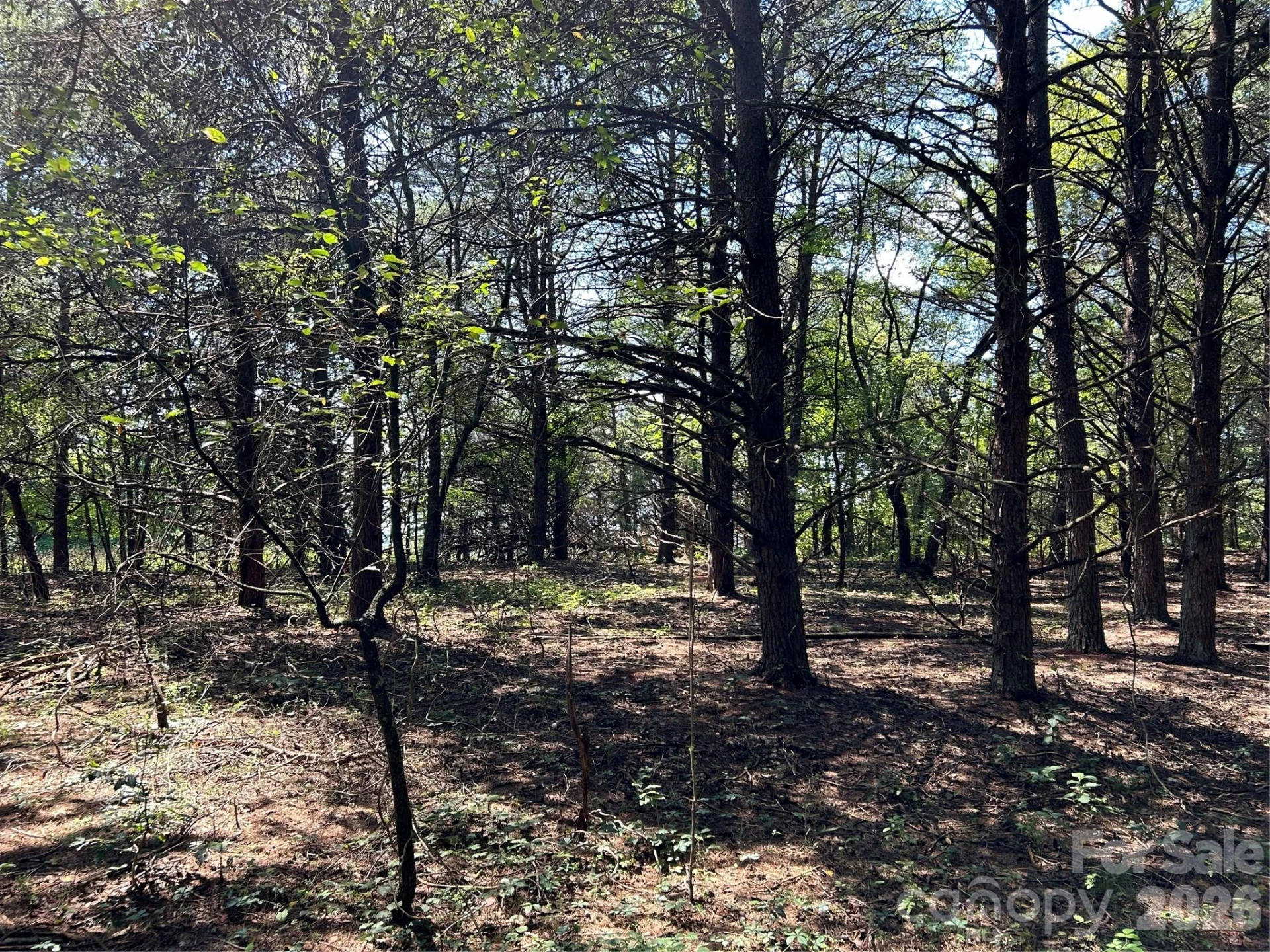 00 Gilbert Road - Photo 4
