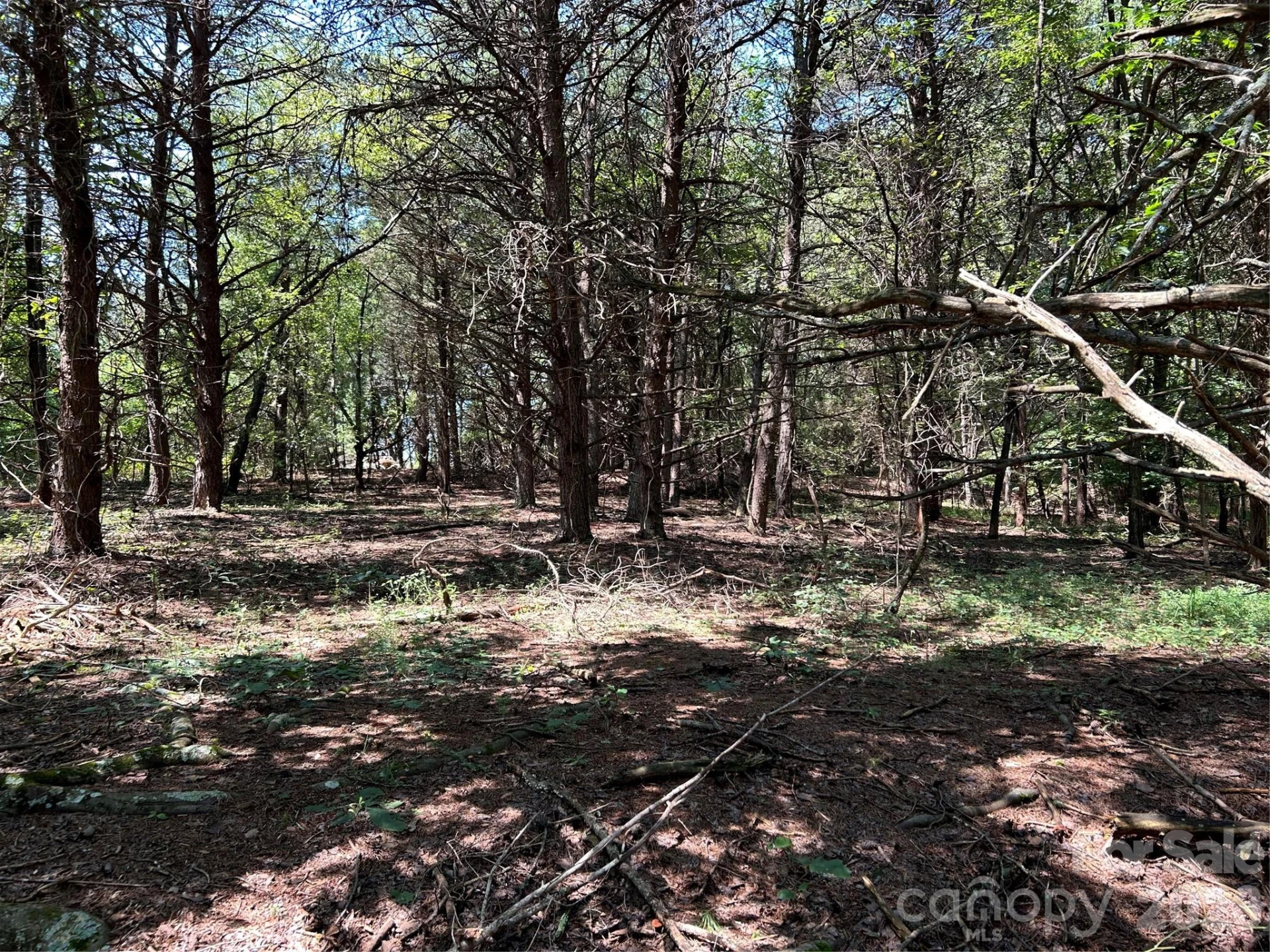 00 Gilbert Road - Photo 5