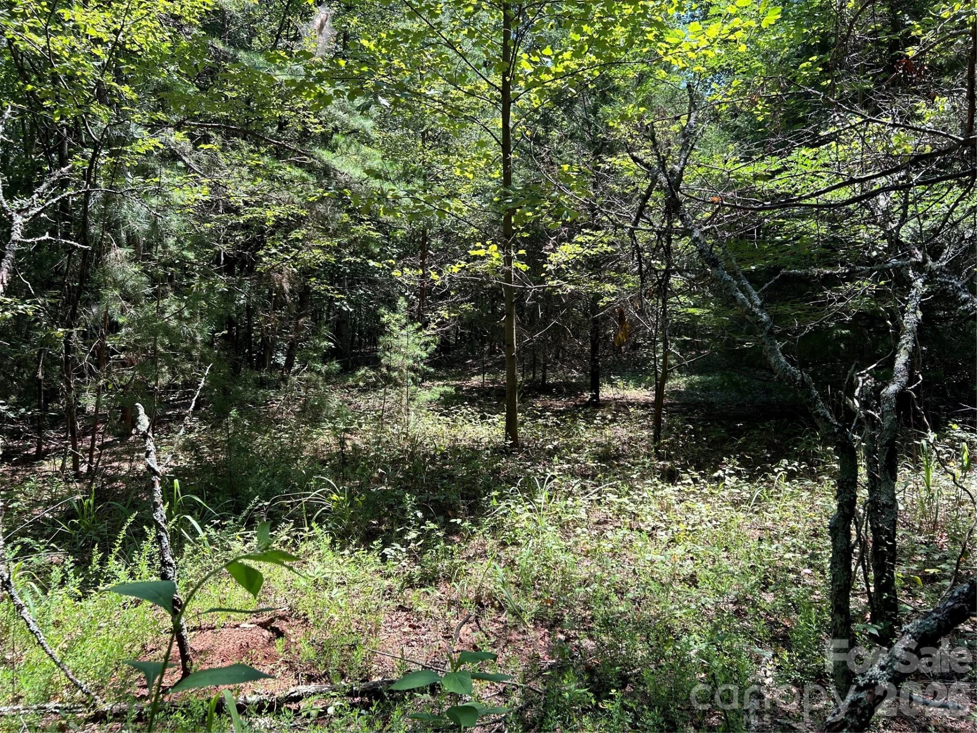 00 Gilbert Road - Photo 6