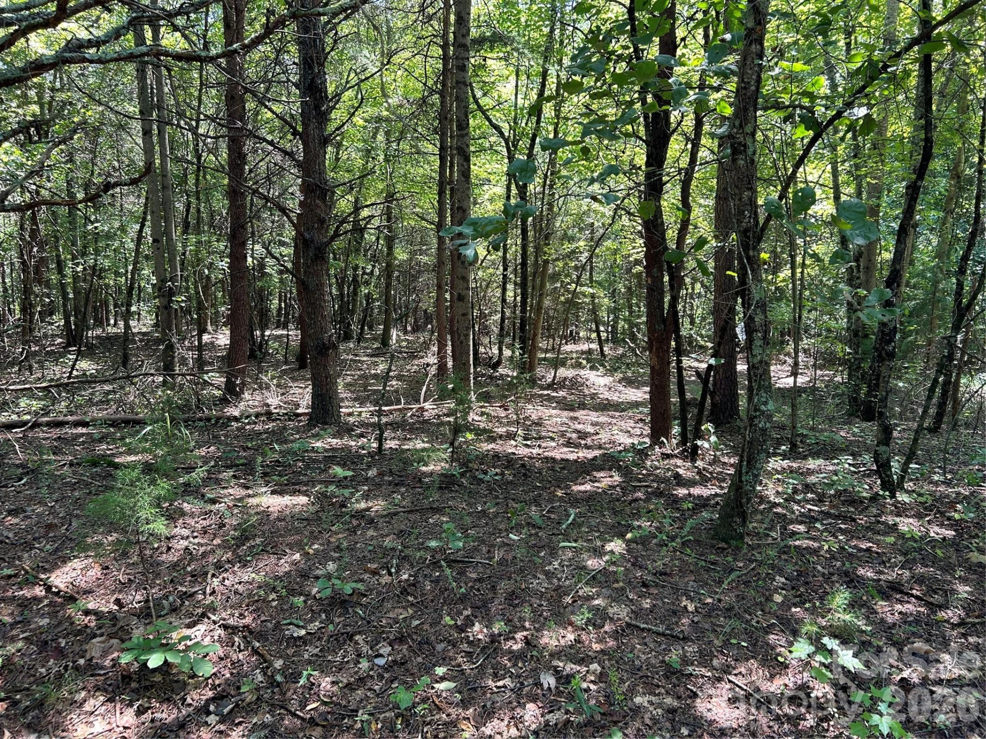 00 Gilbert Road - Photo 7
