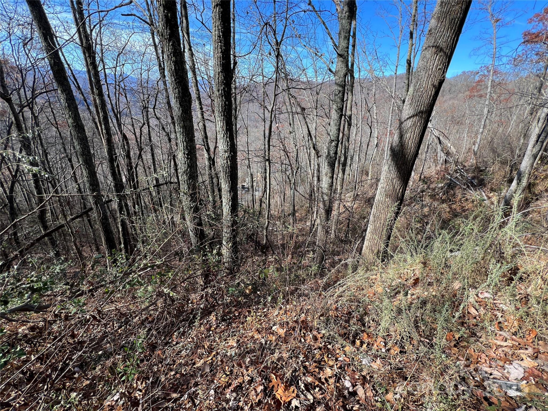 Lot 8 Falls View Drive - Photo 2