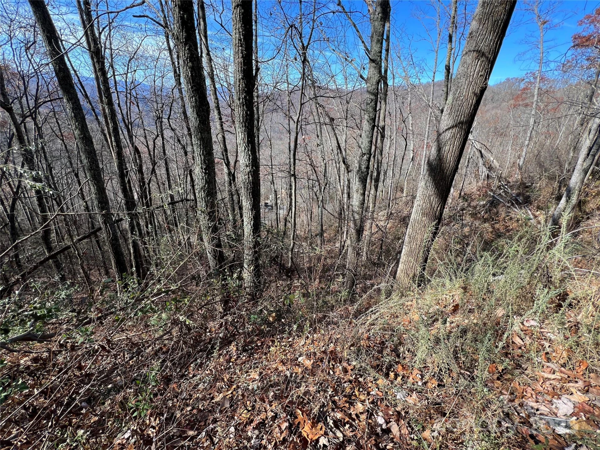 Lot 8 Falls View Drive - Photo 2