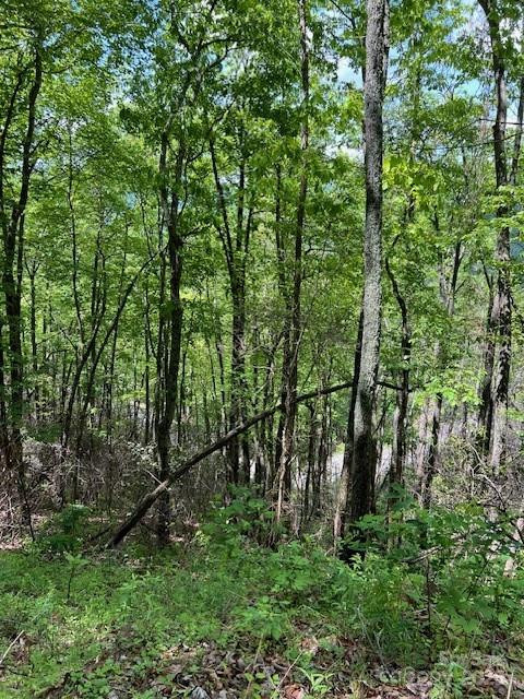 Lot 8 Falls View Drive - Photo 11