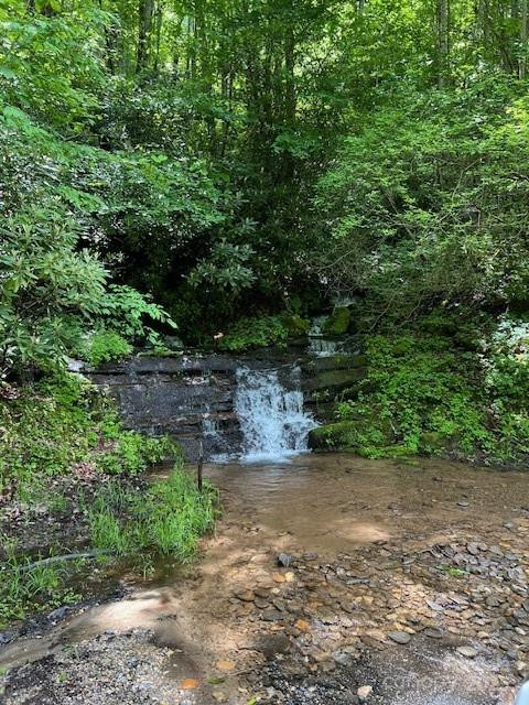 Lot 8 Falls View Drive - Photo 13