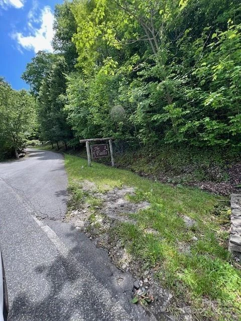 Lot 8 Falls View Drive - Photo 14