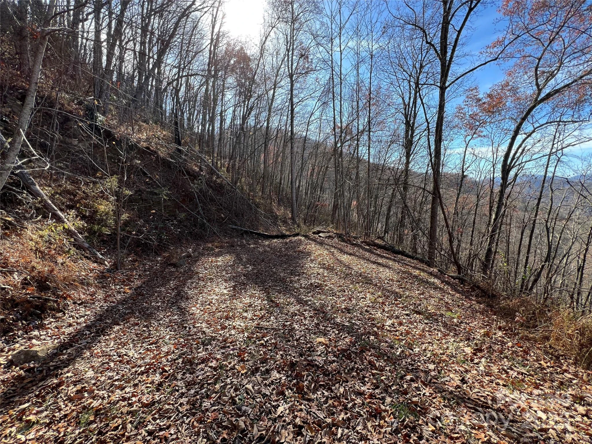 Lot 8 Falls View Drive - Photo 3