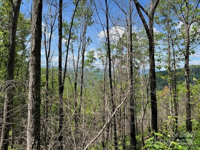 Lot 8 Falls View Drive - Photo 6