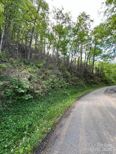 Lot 8 Falls View Drive - Photo 7