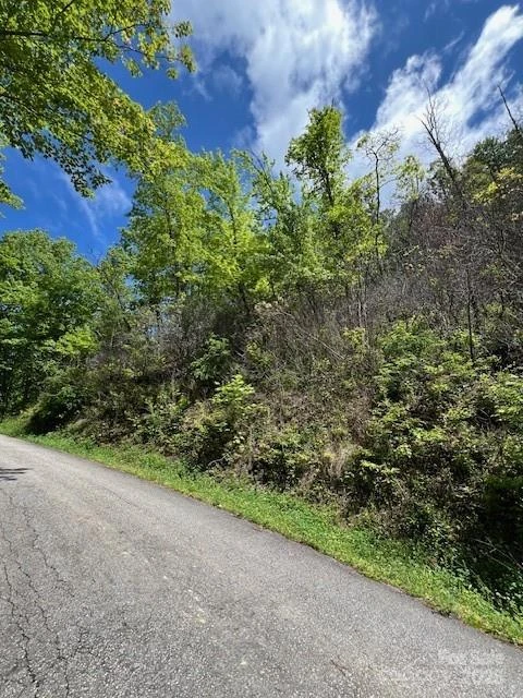 Lot 8 Falls View Drive - Photo 8