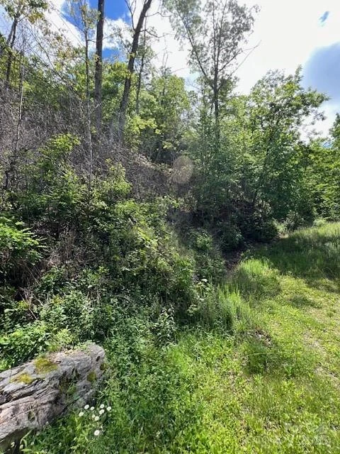 Lot 8 Falls View Drive - Photo 9