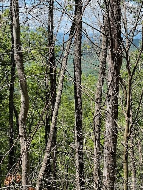 Lot 8 Falls View Drive - Photo 10