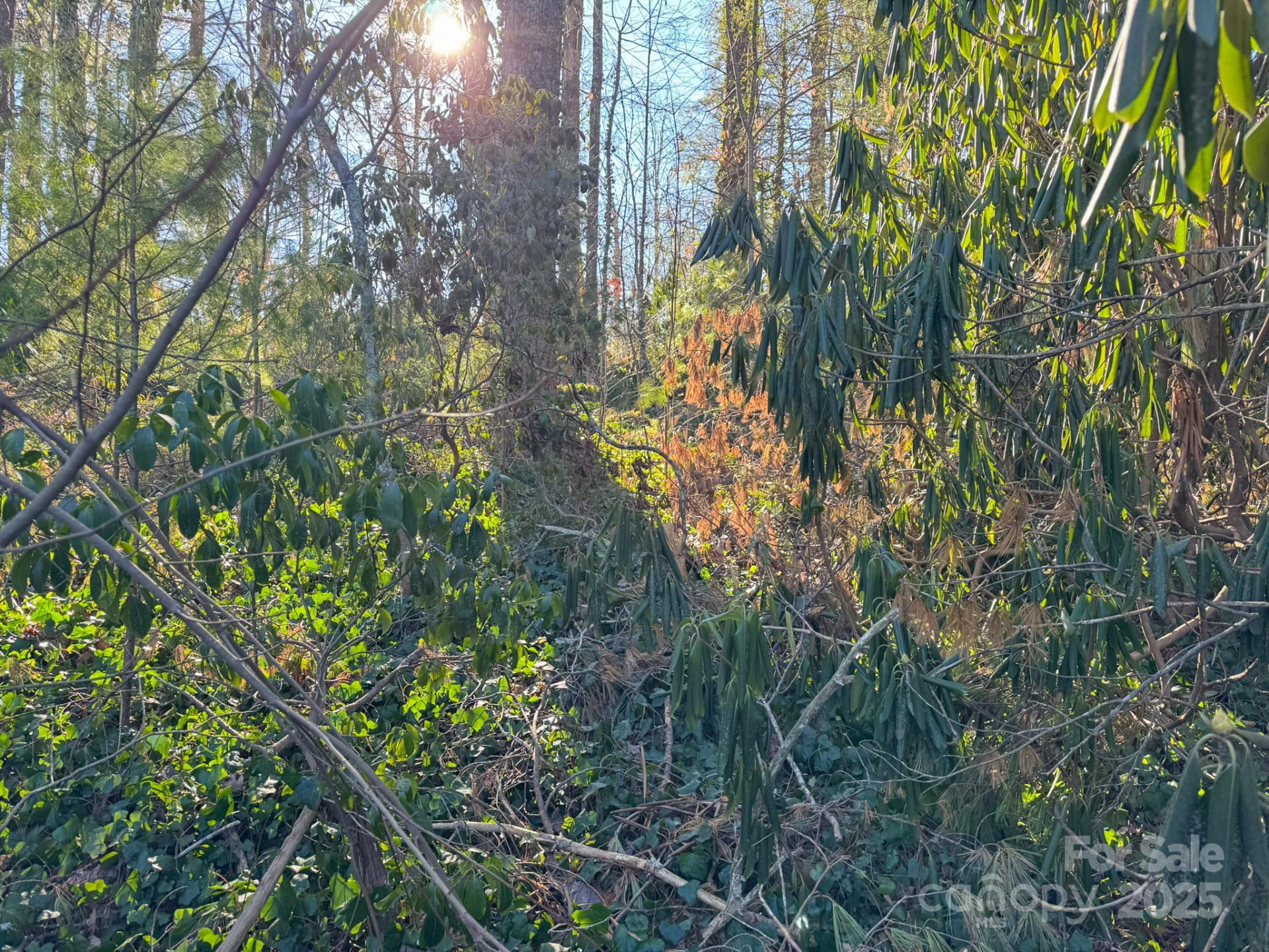 Lot 7 Balsam Road - Photo 13