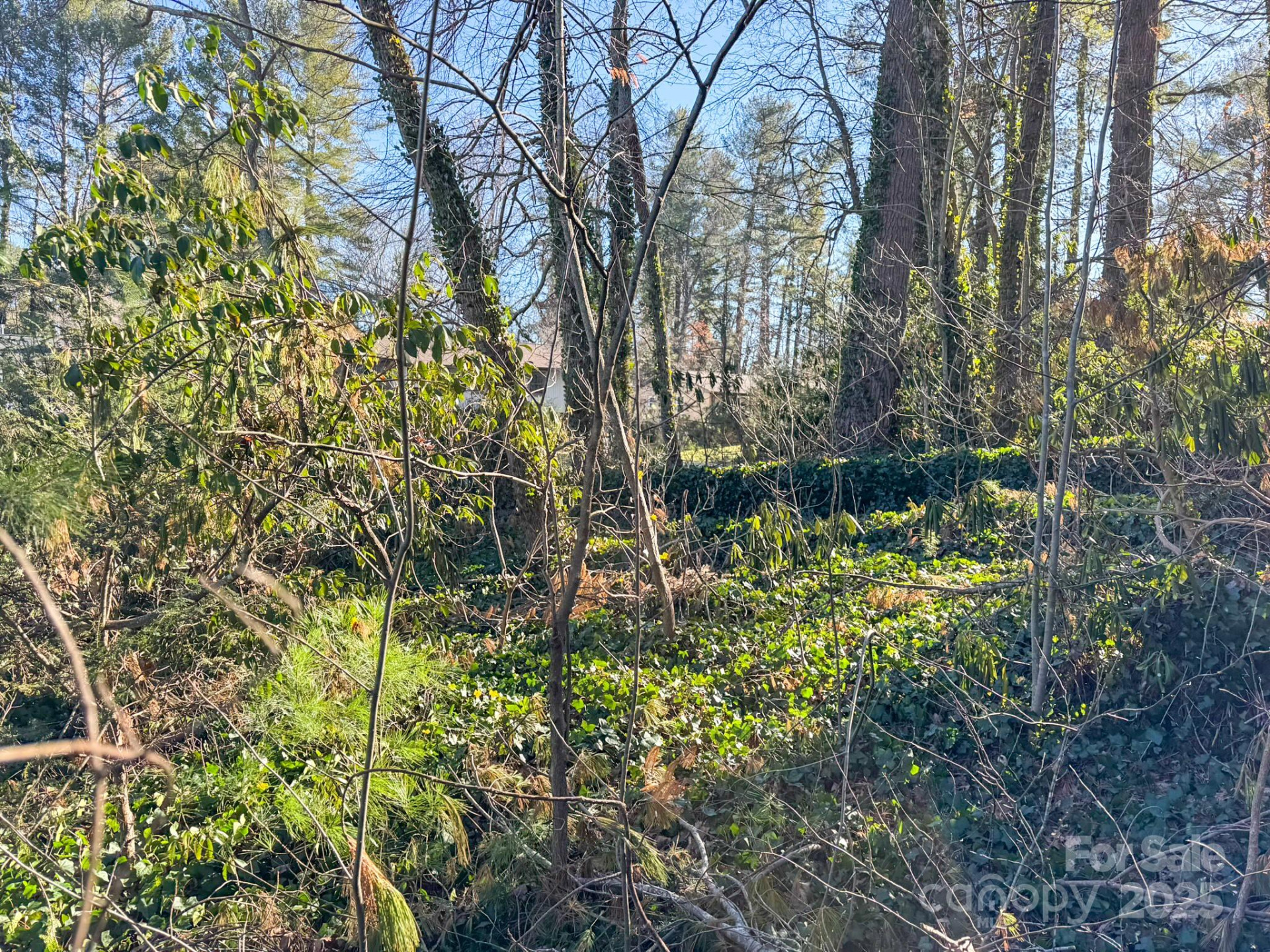 Lot 7 Balsam Road - Photo 14