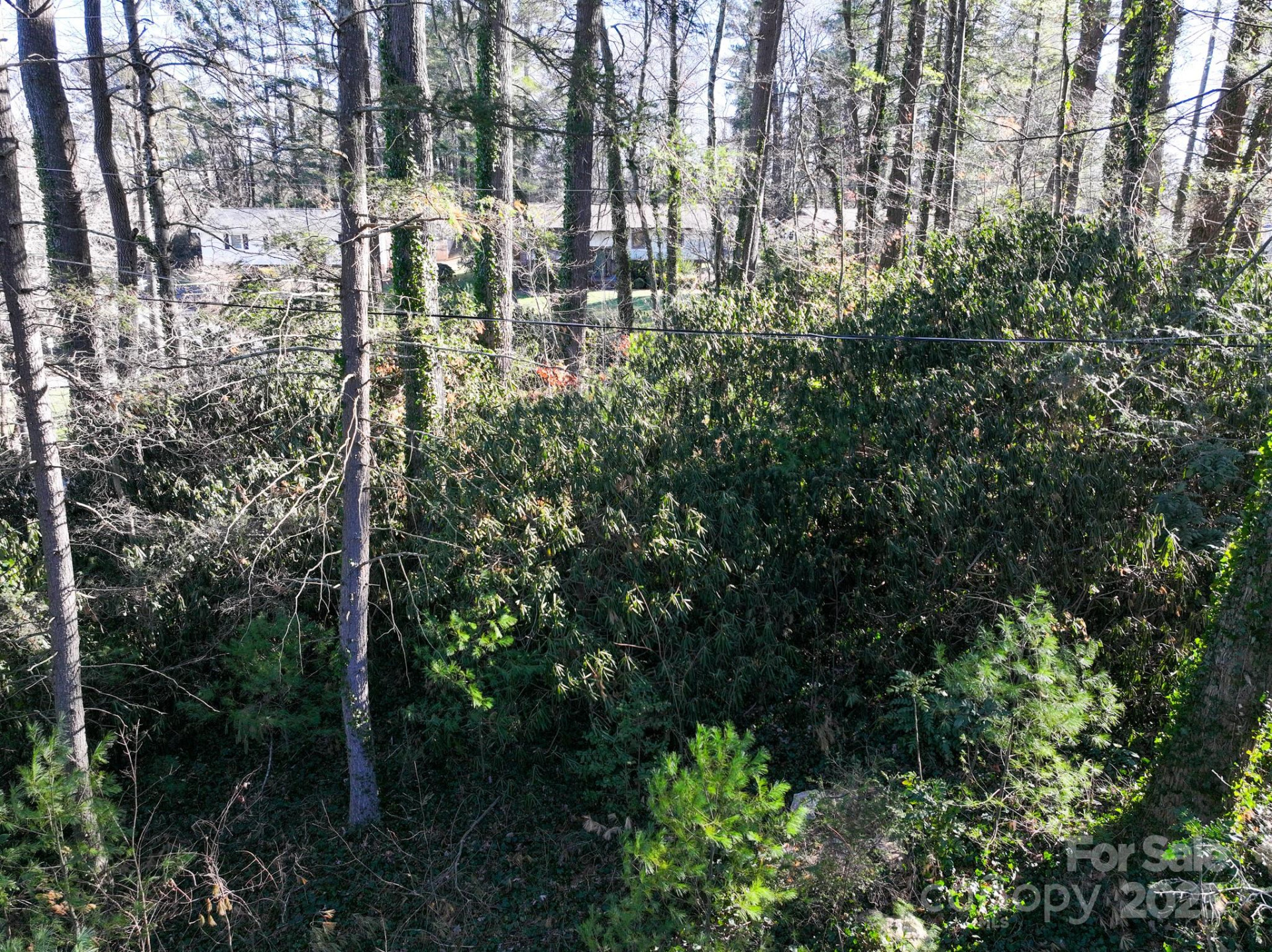 Lot 7 Balsam Road - Photo 15