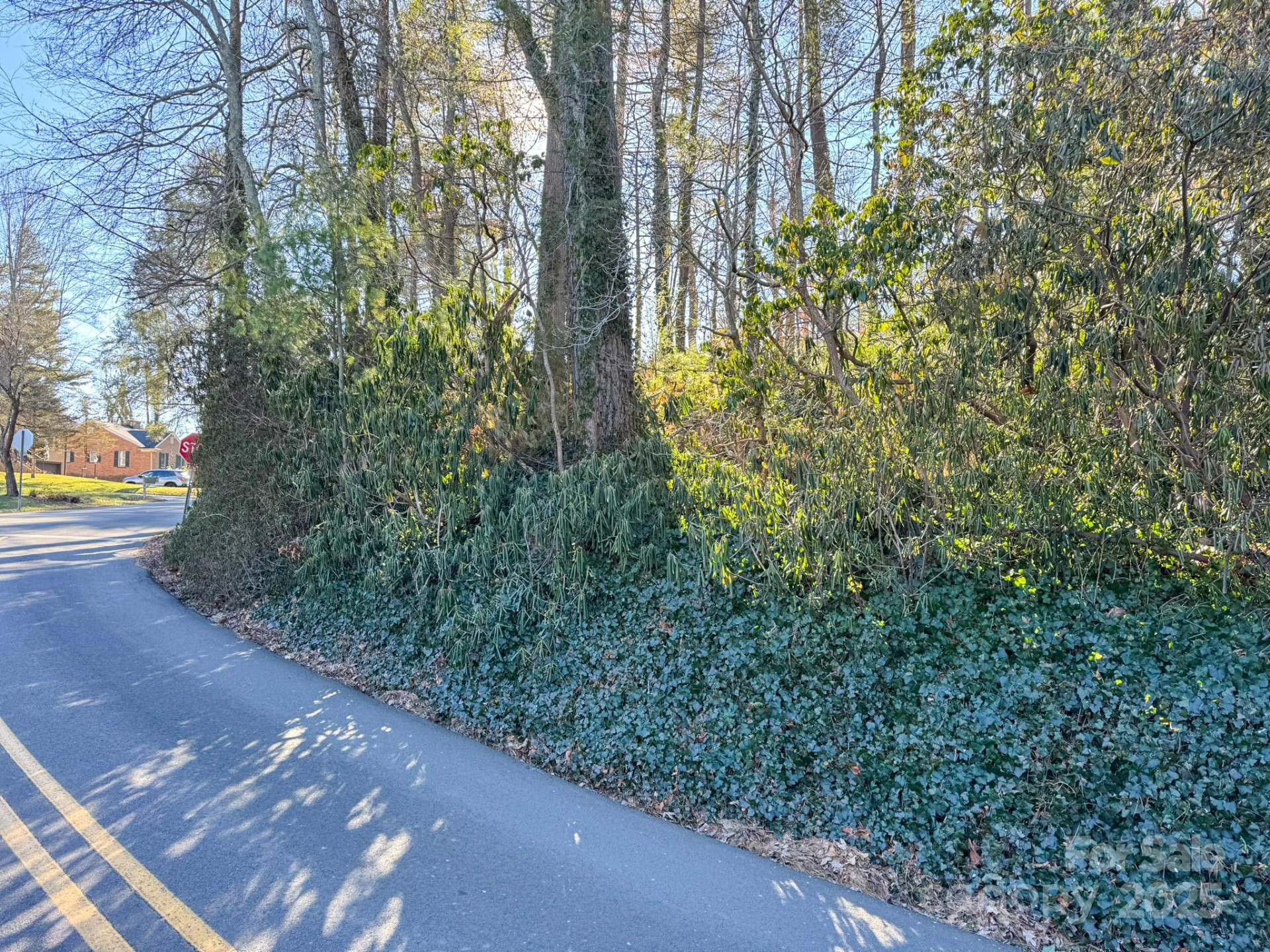 Lot 7 Balsam Road - Photo 8