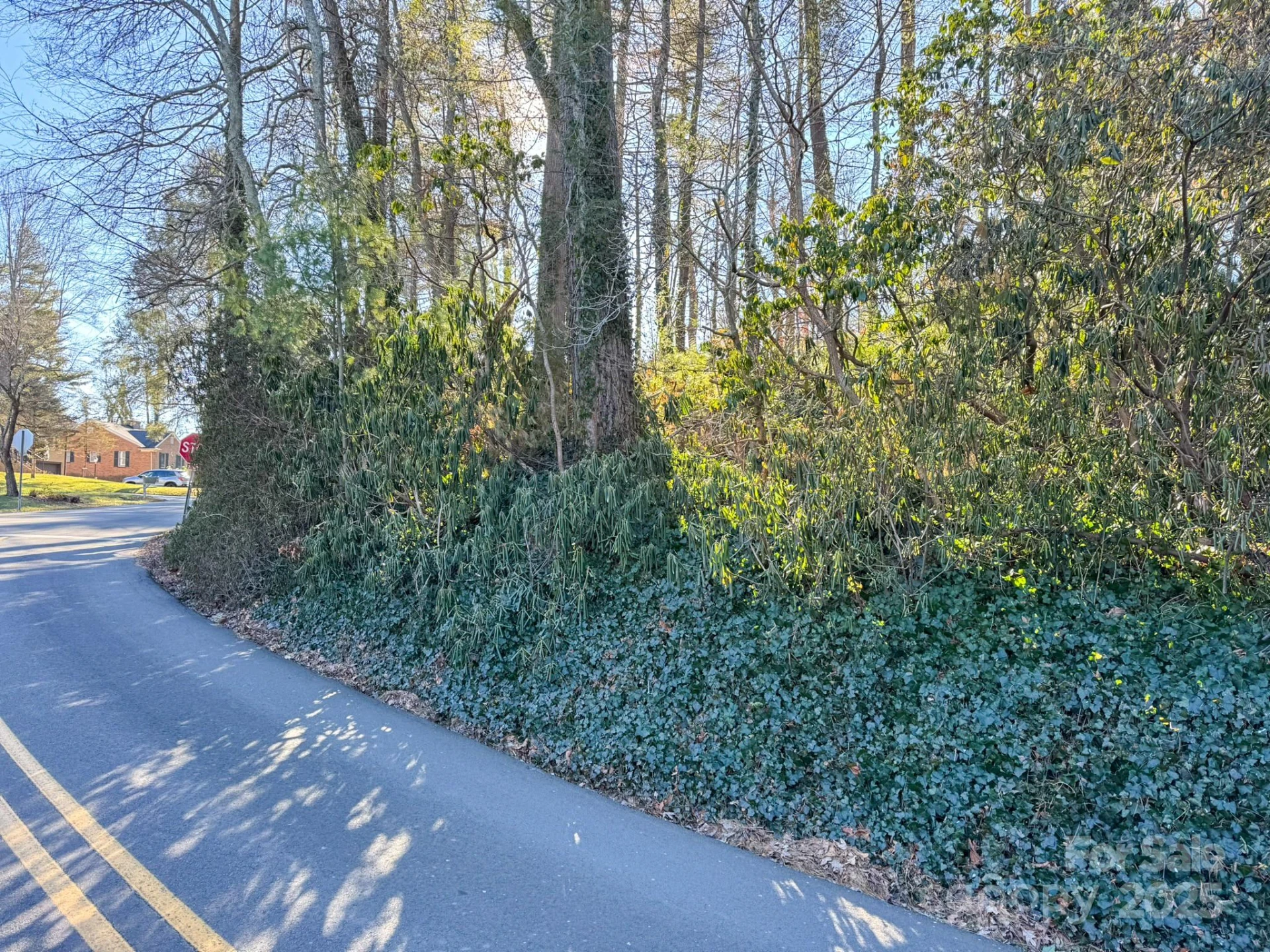 Lot 7 Balsam Road - Photo 8