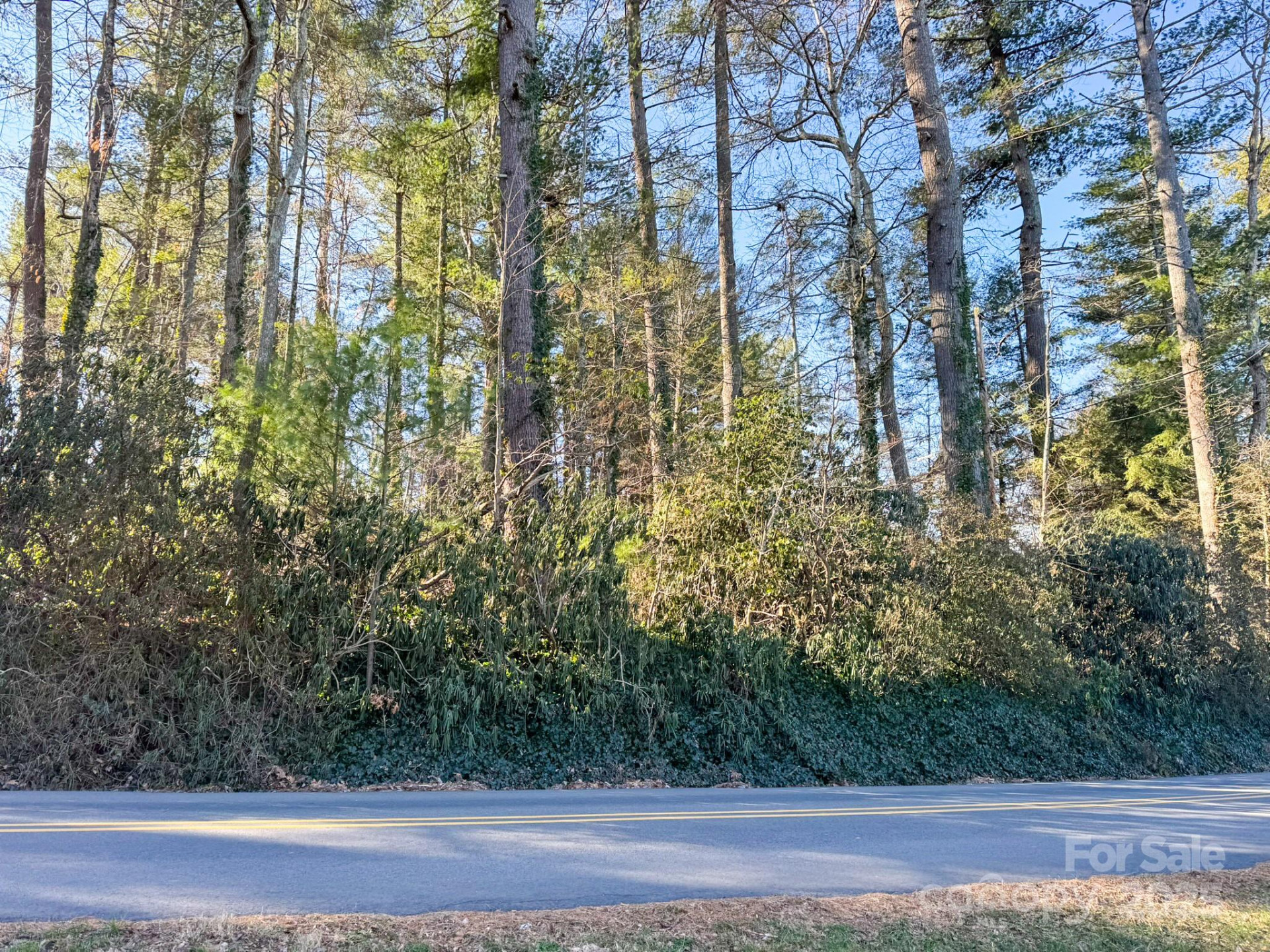 Lot 7 Balsam Road - Photo 9