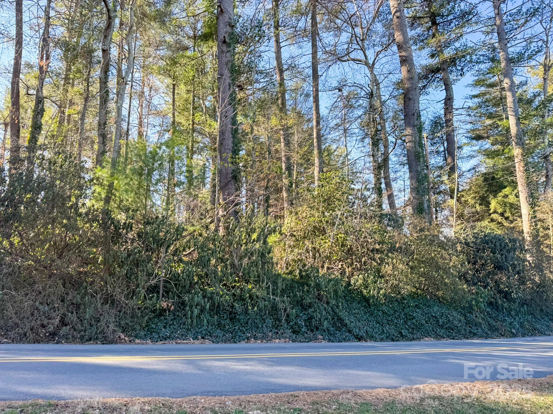 Lot 7 Balsam Road - Photo 9