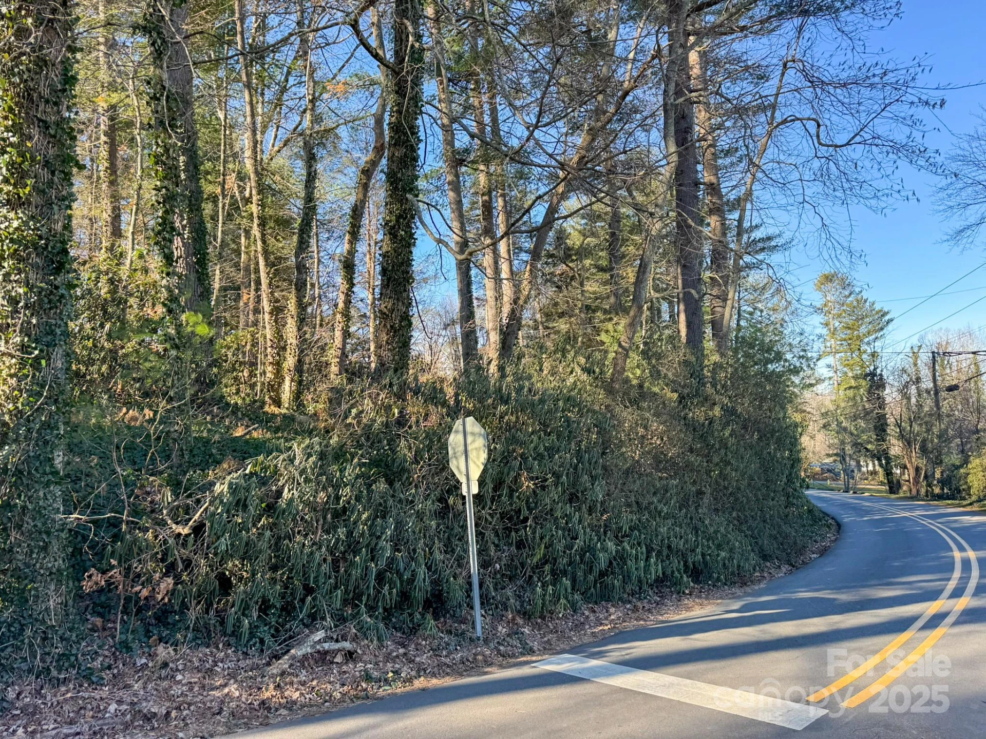 Lot 7 Balsam Road - Photo 10