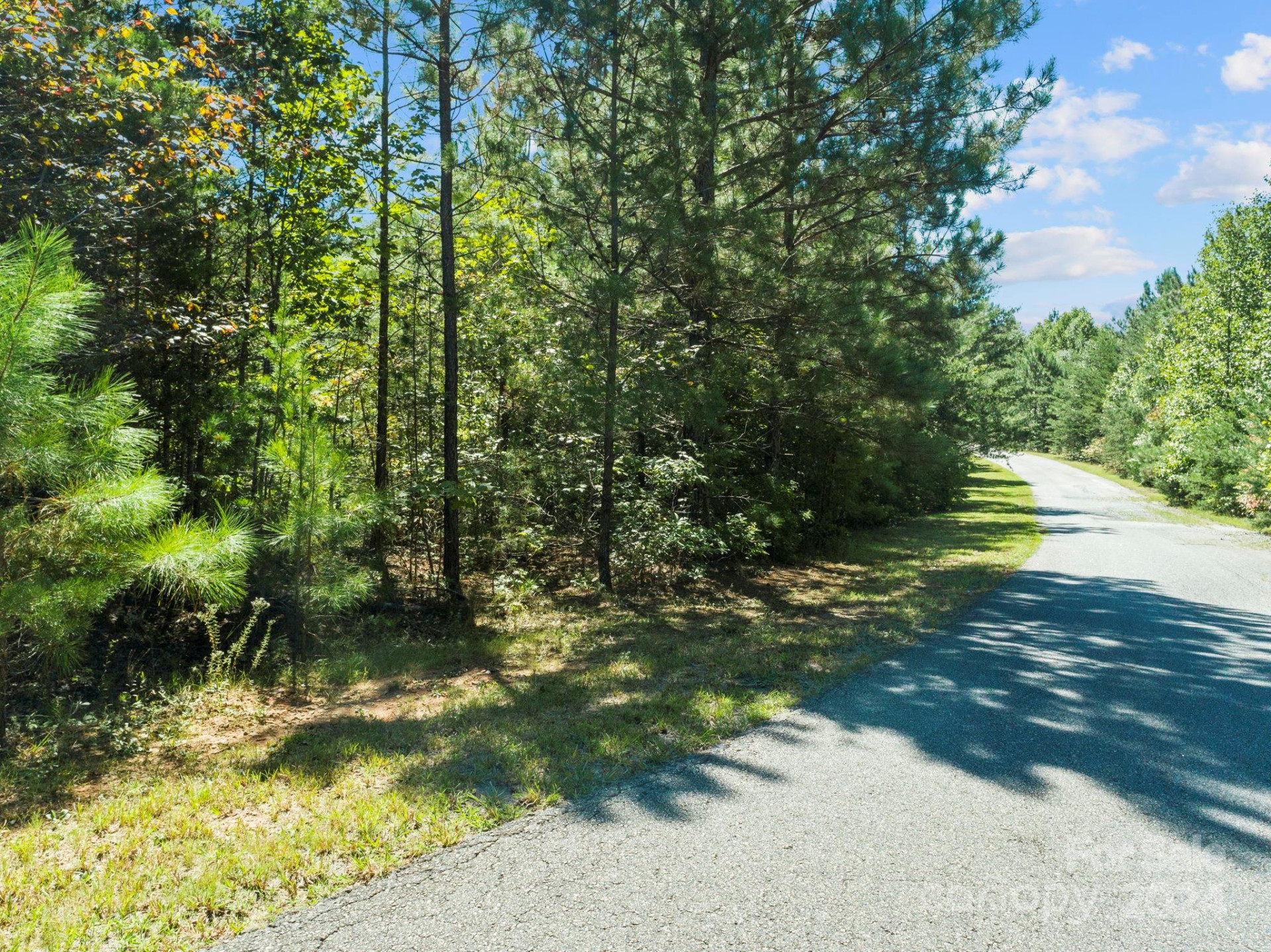 0000 Hope Drive - Photo 12