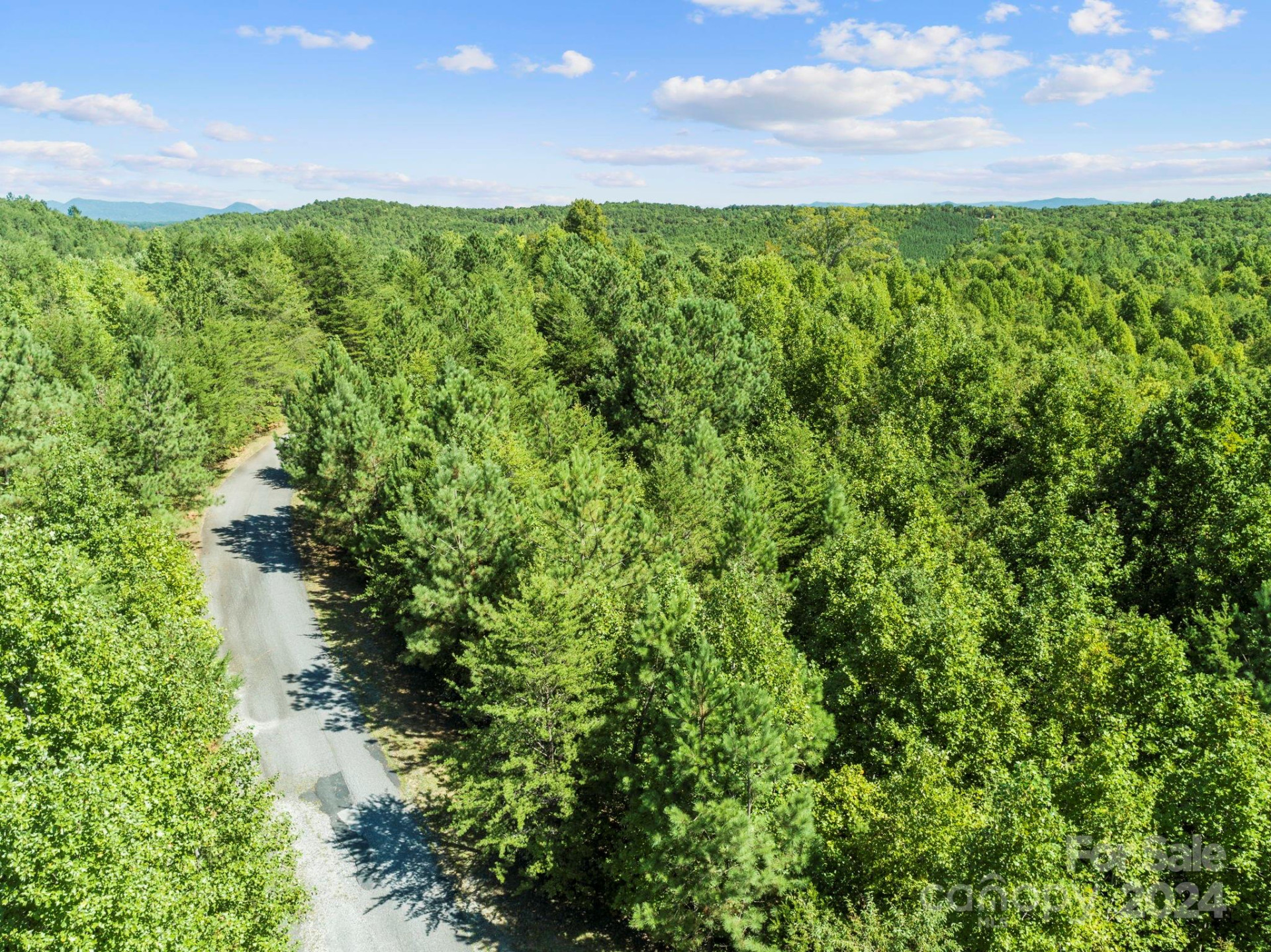 0000 Hope Drive - Photo 3