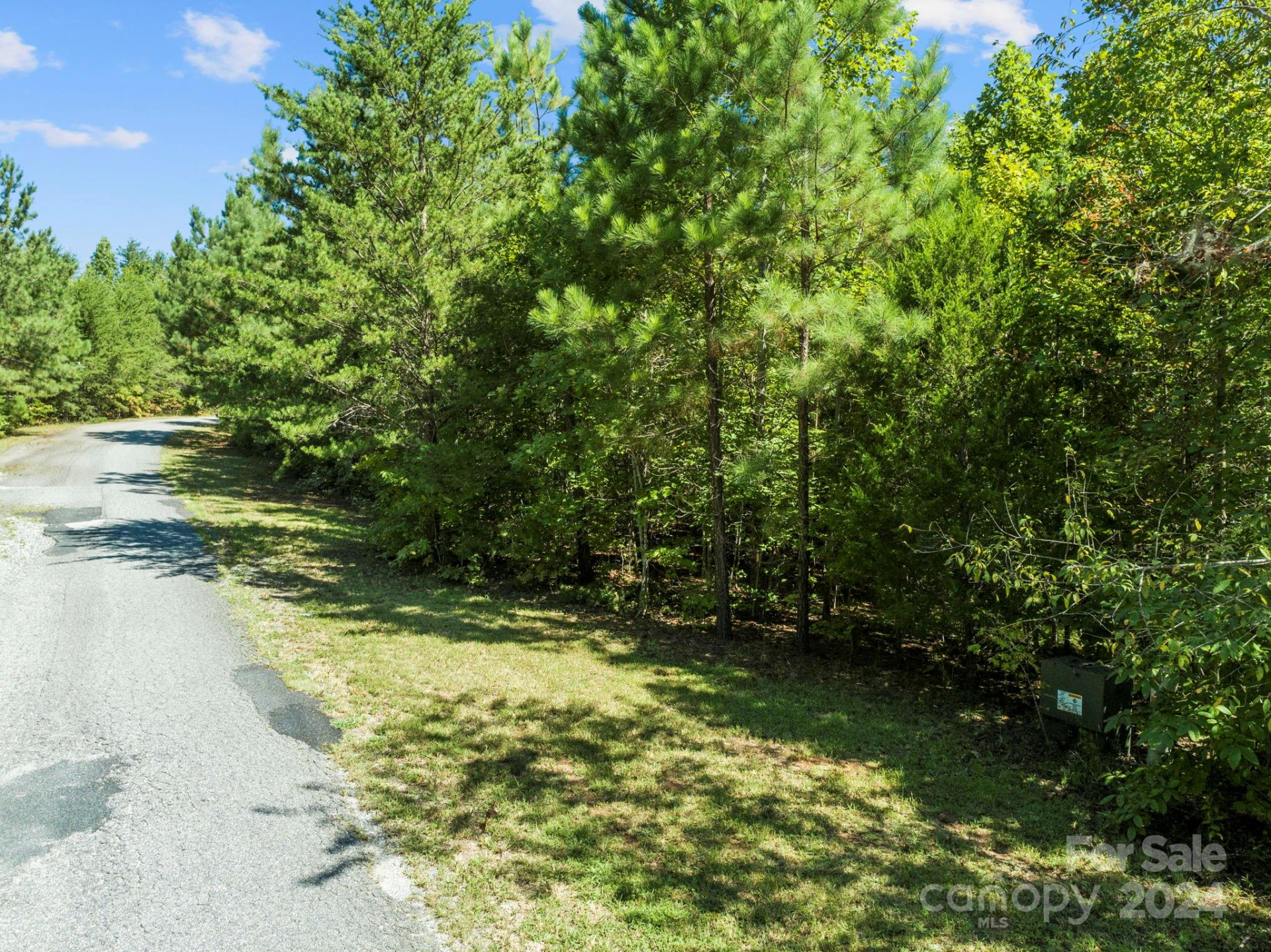 0000 Hope Drive - Photo 4