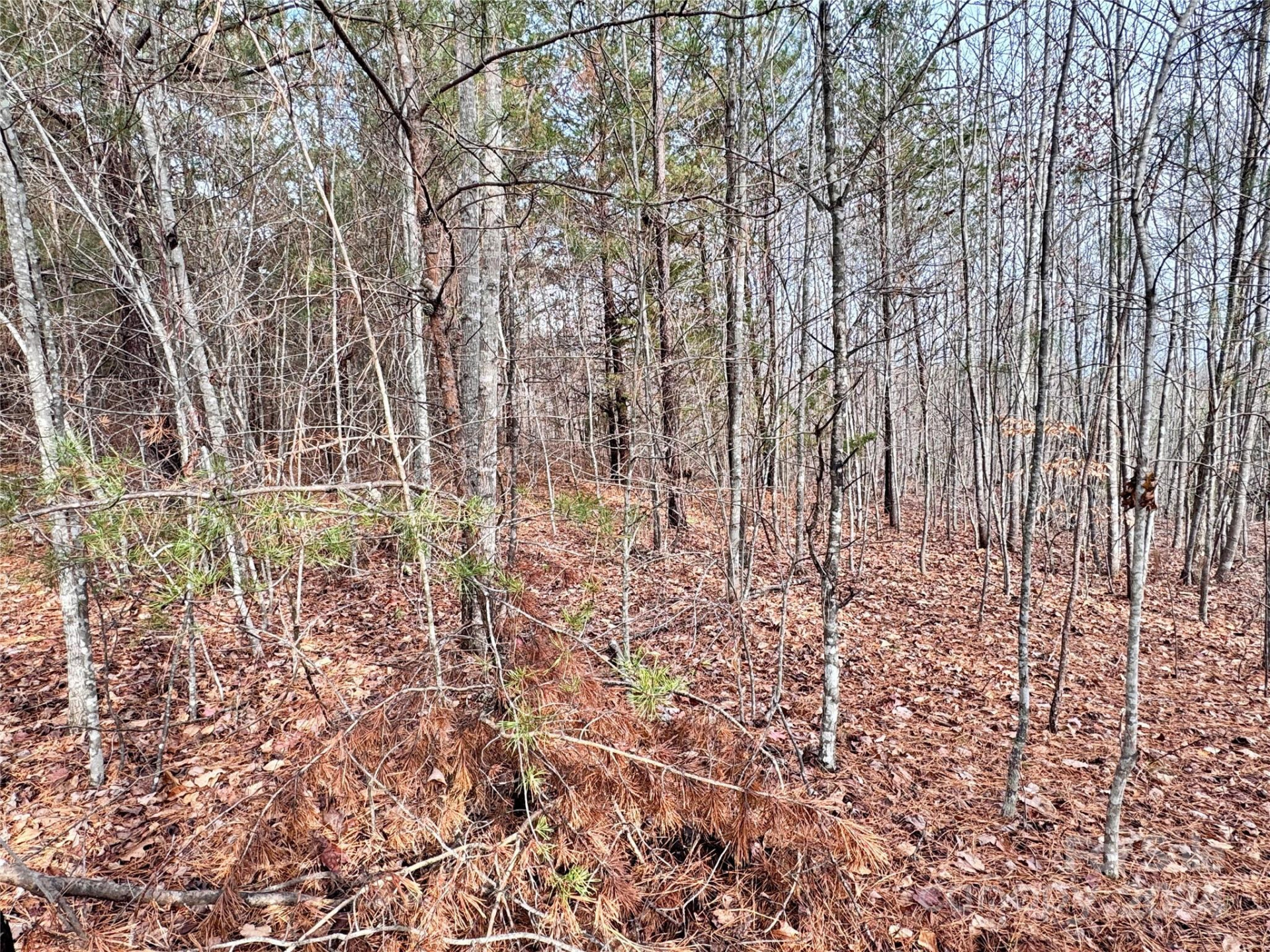 0000 Hope Drive - Photo 8