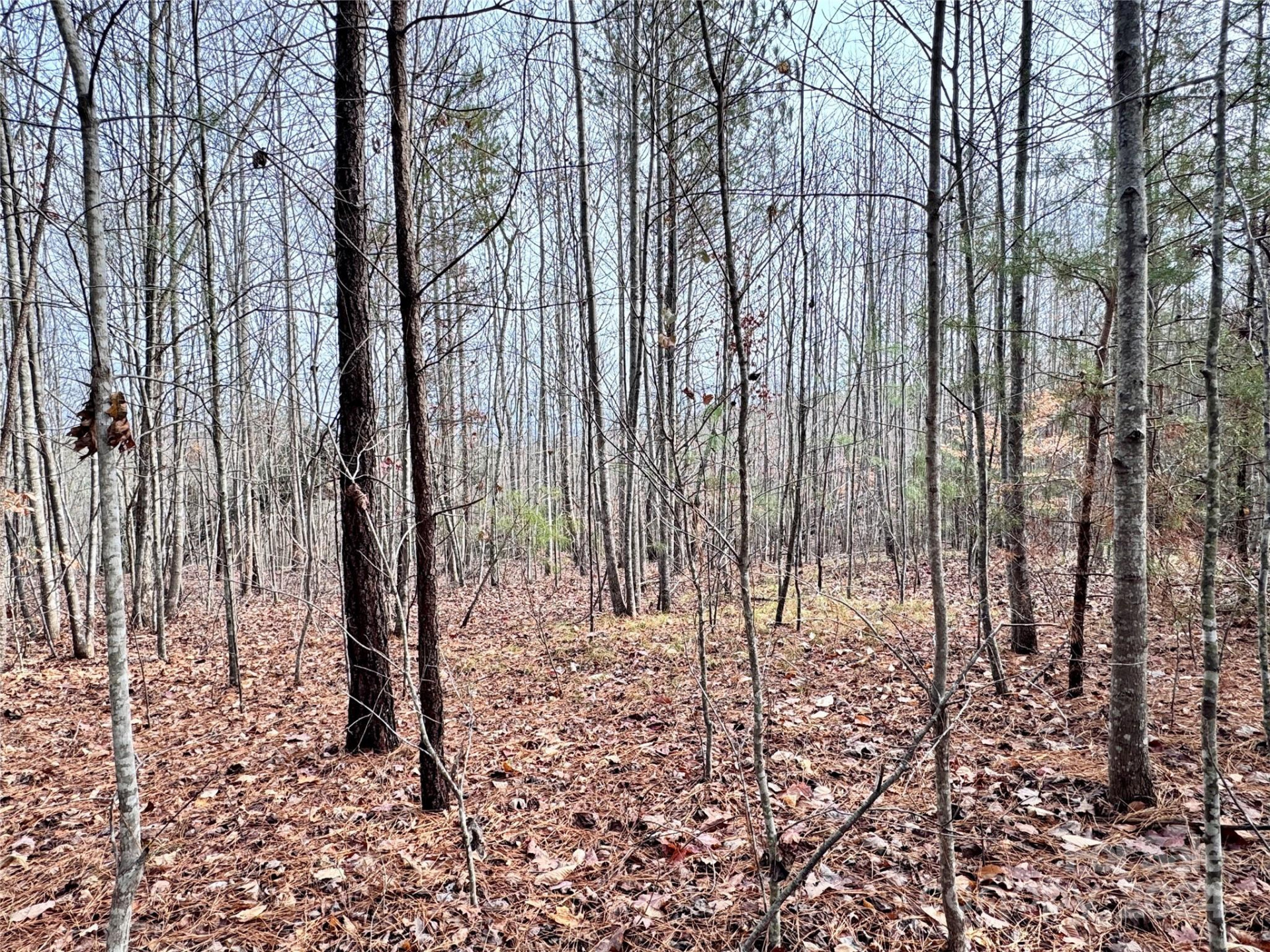 0000 Hope Drive - Photo 9