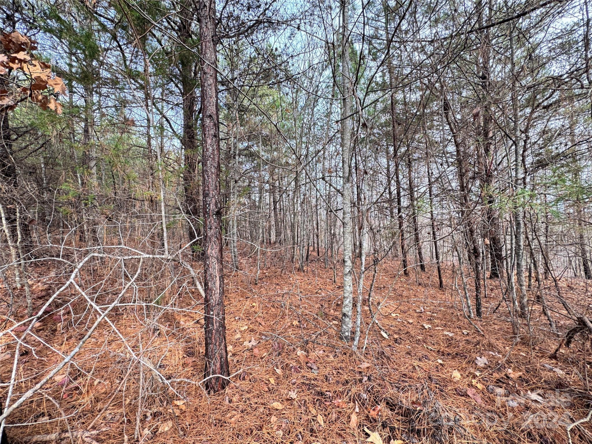 0000 Hope Drive - Photo 10