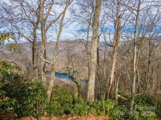 520 Morningside Drive, Tuckasegee, NC, 28783