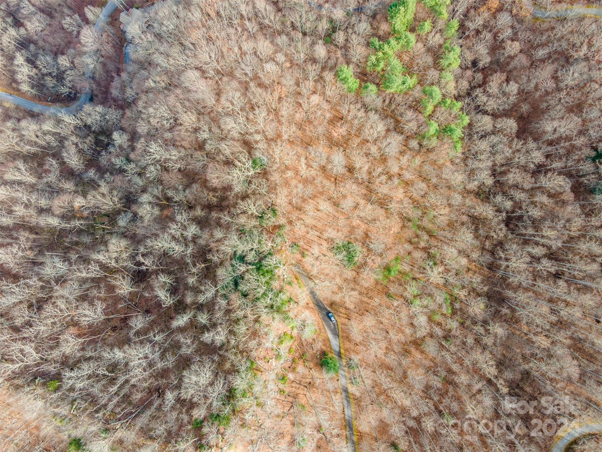 520 Morningside Drive #51 - Photo 4