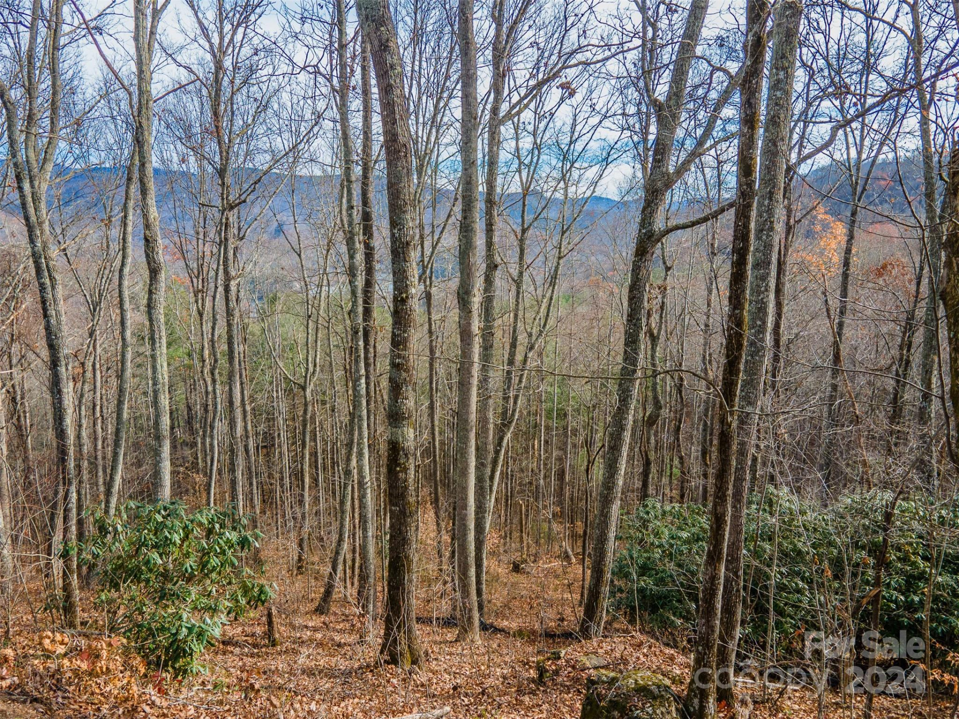 520 Morningside Drive #51 - Photo 5