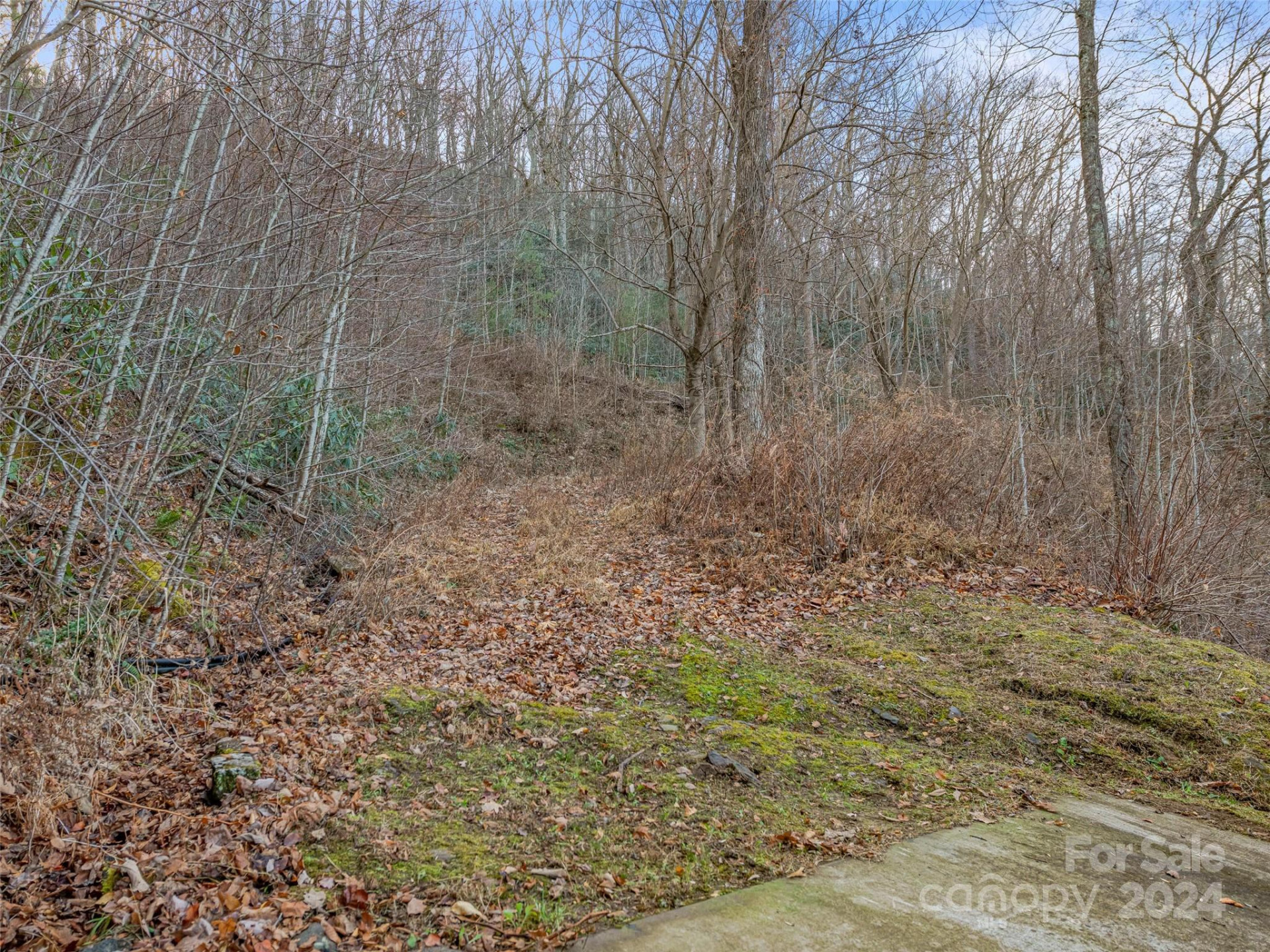 99999 Stonecrest Drive #B - Photo 6