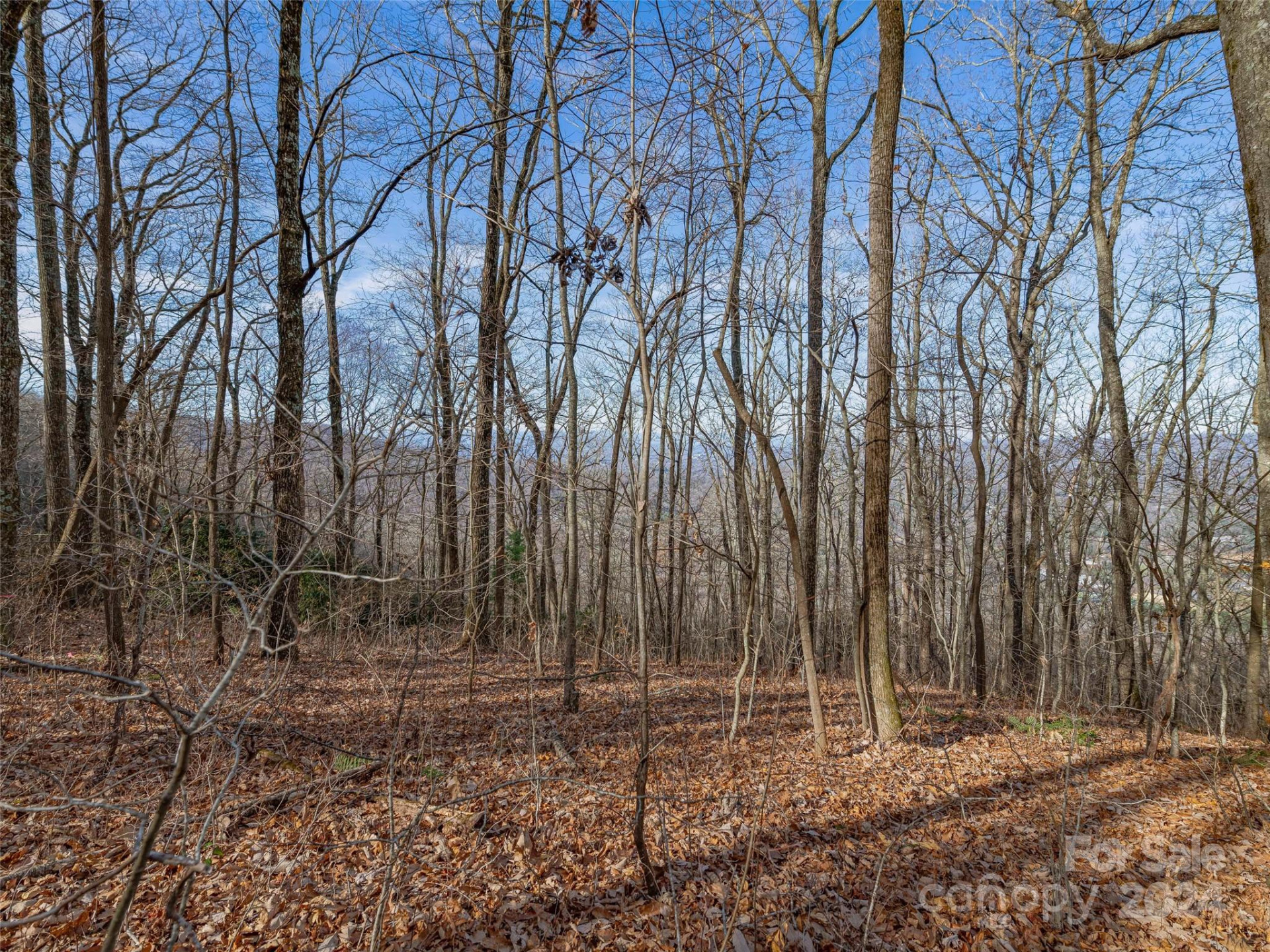 99999 Stonecrest Drive #B - Photo 10